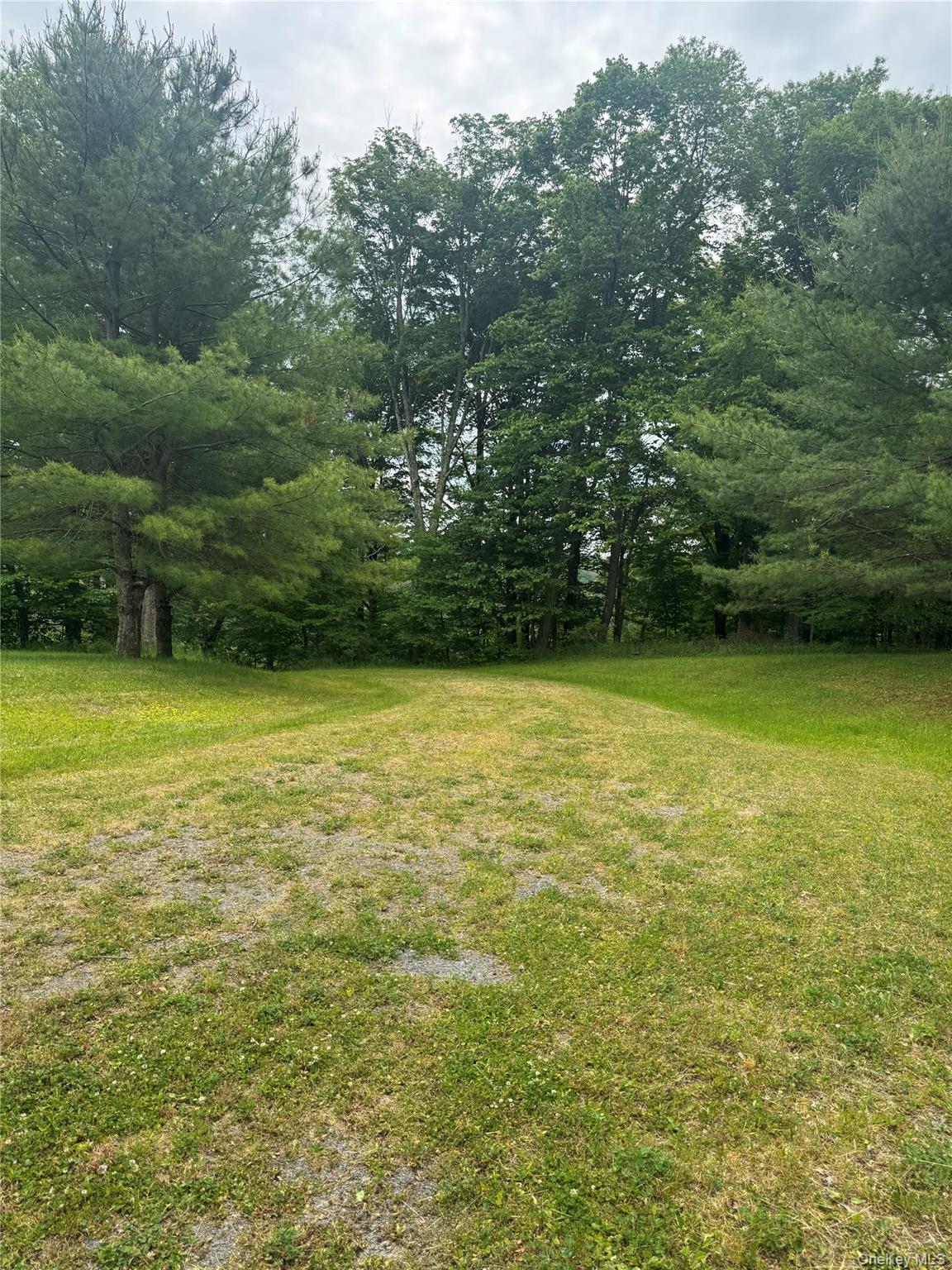 Single Family Lenape Lake Road  Sullivan County, NY 12758, MLS-1013294-7