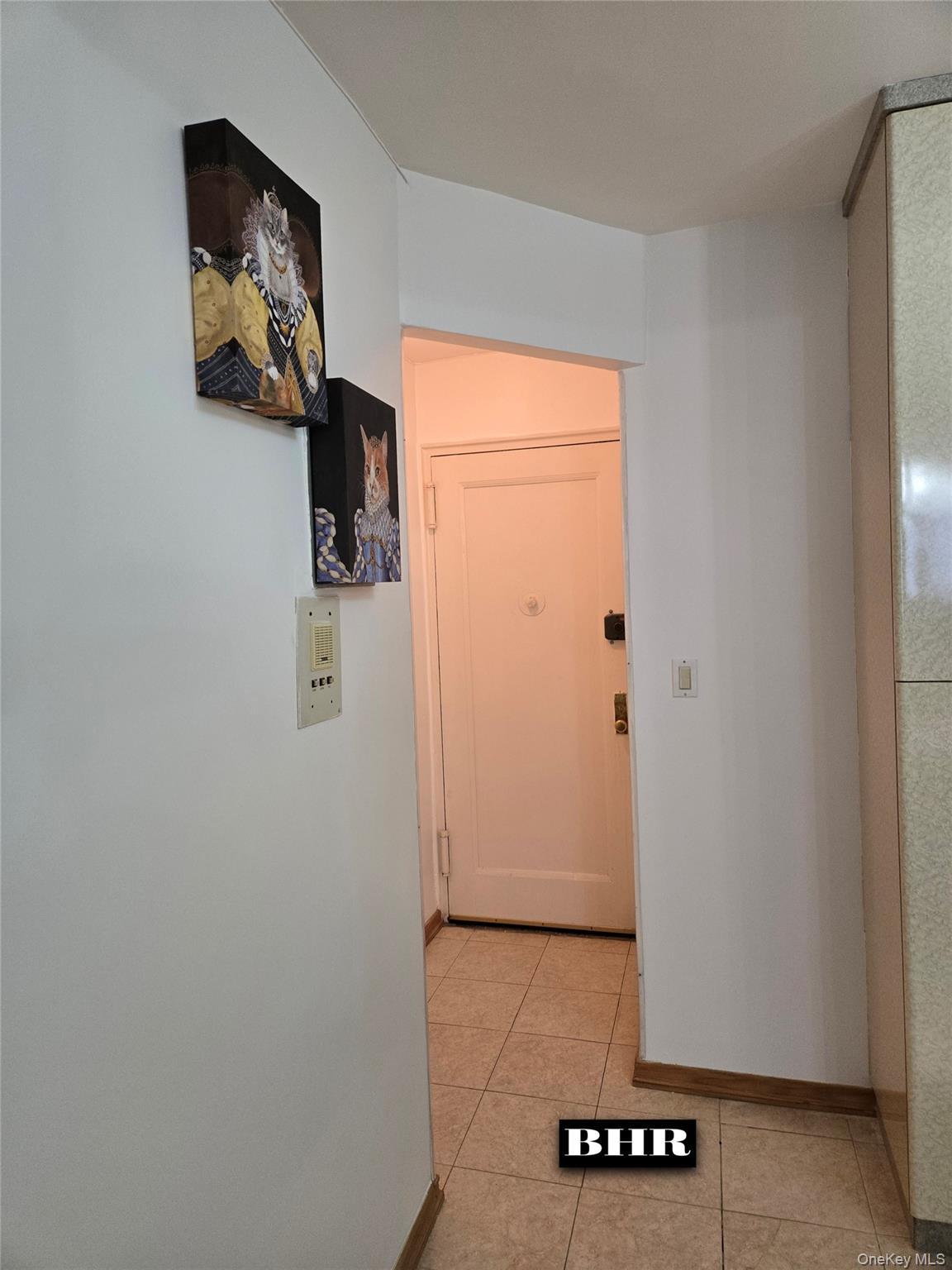 Coop End  Brooklyn, NY 11235, MLS-1013295-4