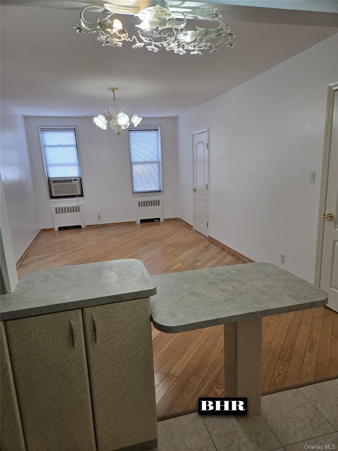 Coop End  Brooklyn, NY 11235, MLS-1013295-8