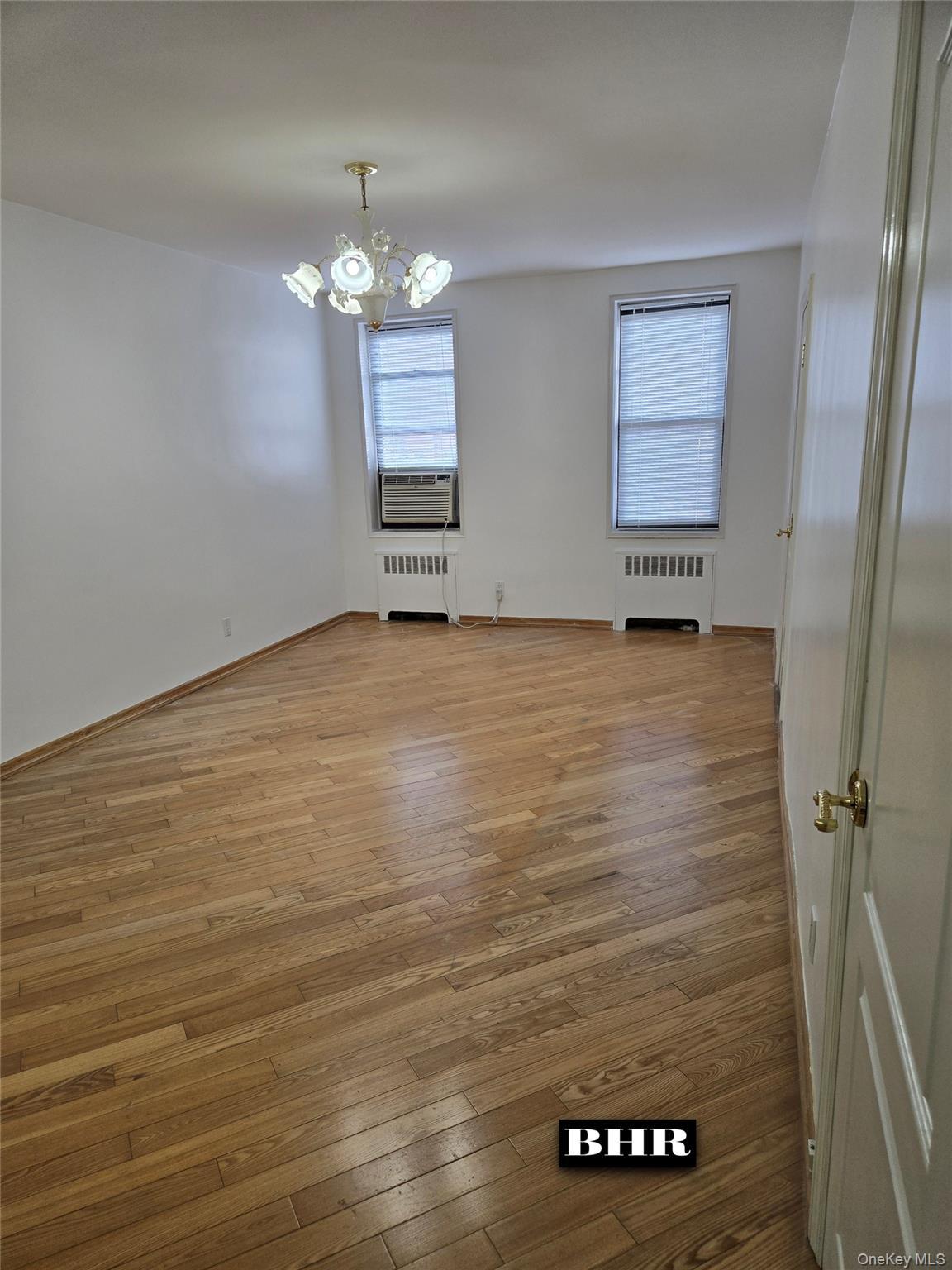 Coop End  Brooklyn, NY 11235, MLS-1013295-9