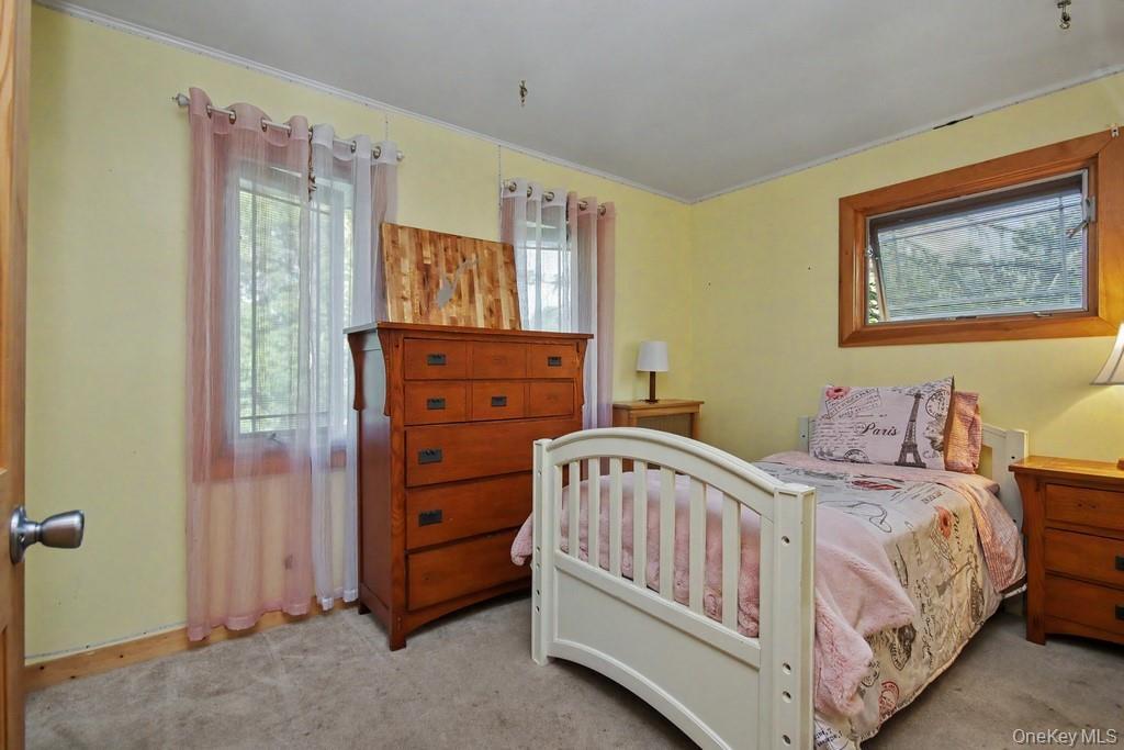 Single Family Cold Spring Sullivan County, NY 12754, MLS-1013333-17