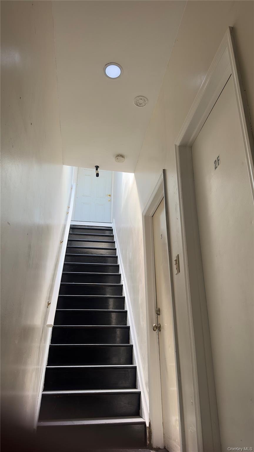 Single Family Warwick Brooklyn, NY 11207, MLS-1013379-6