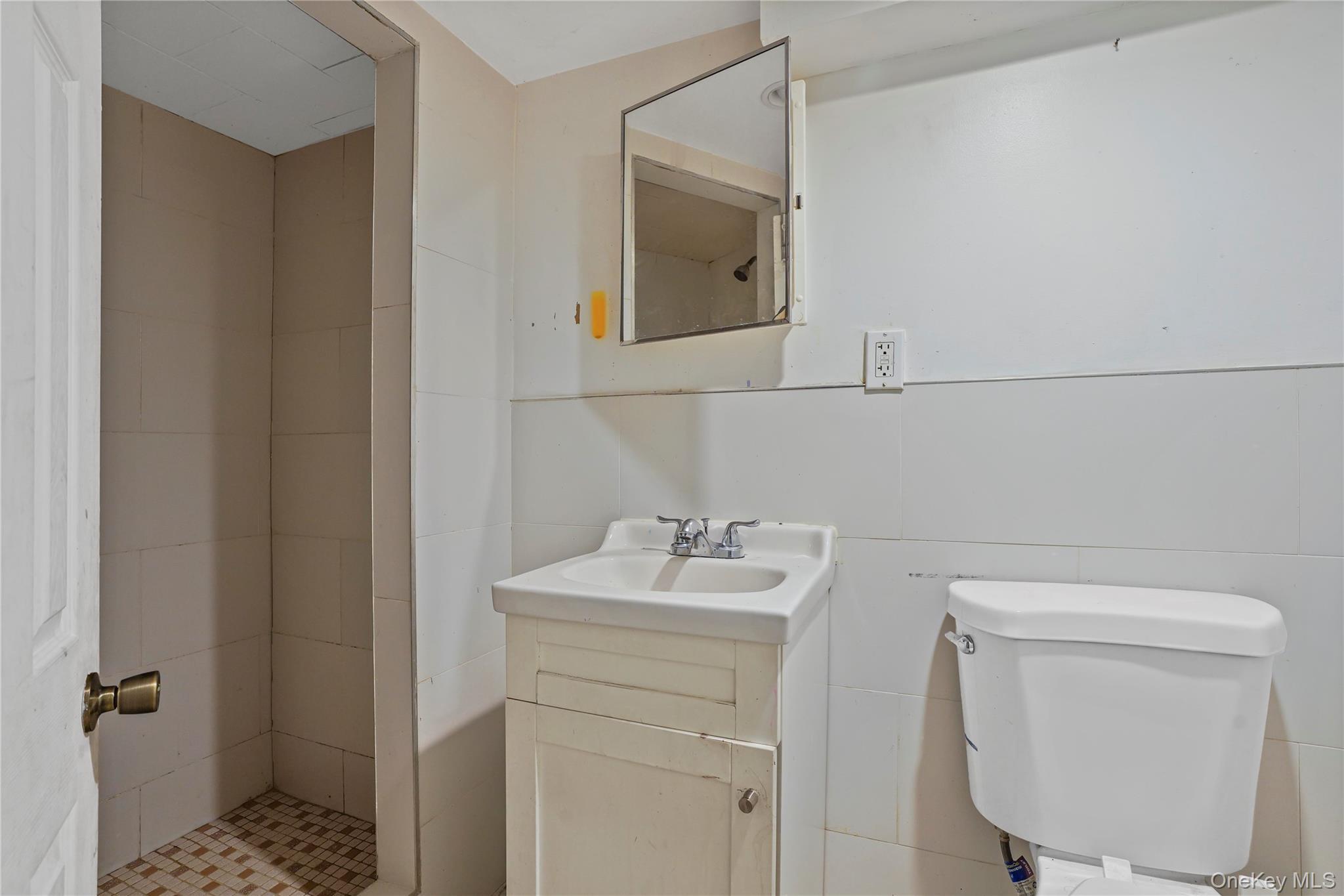 Single Family Hemlock Brooklyn, NY 11208, MLS-1013422-27