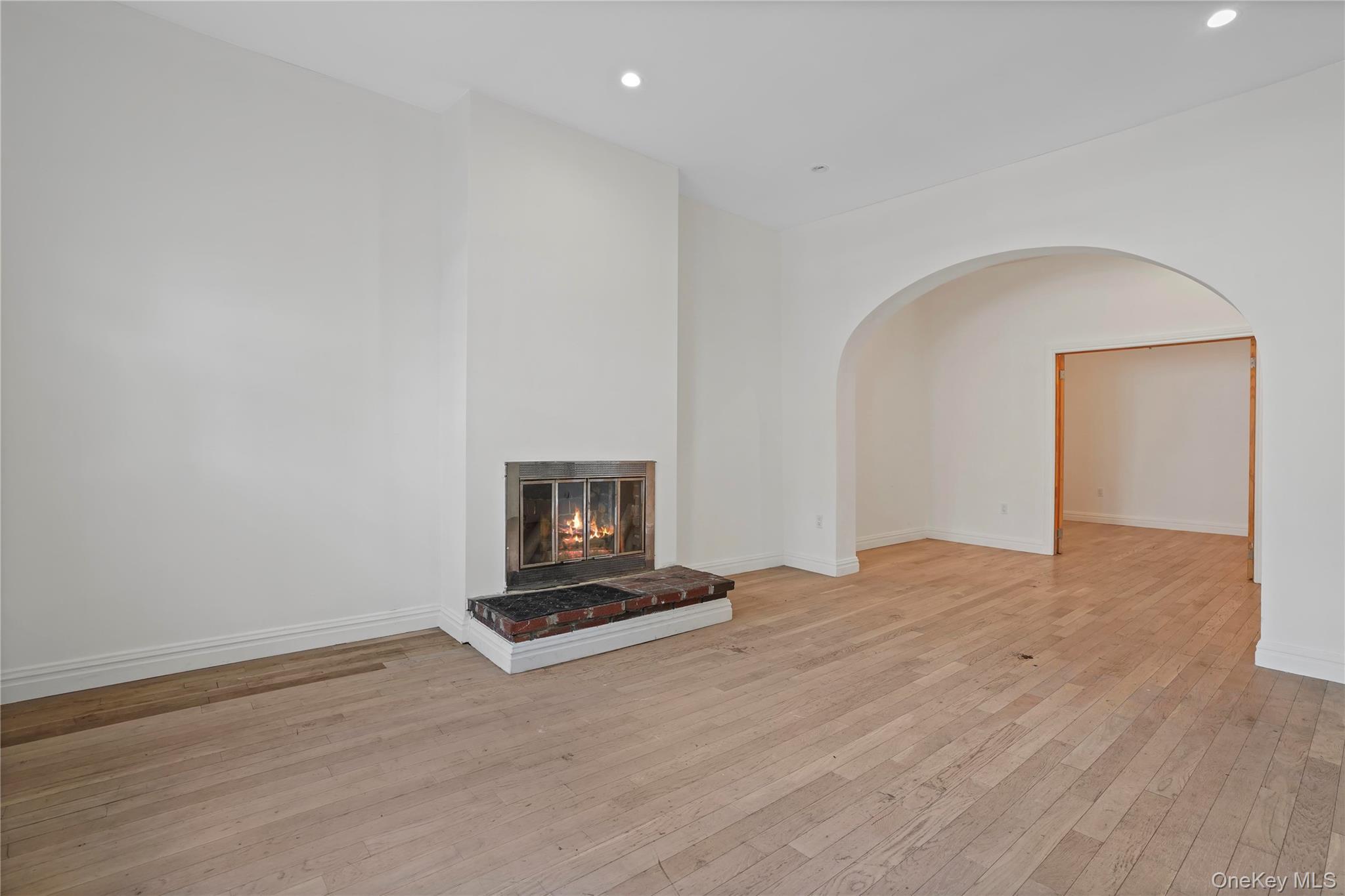 Single Family Hemlock Brooklyn, NY 11208, MLS-1013422-29