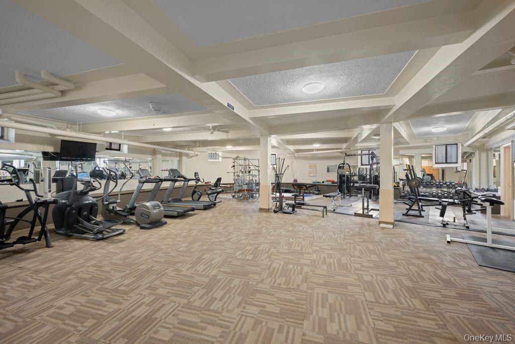 Coop Shore Road Brooklyn, NY 11209, MLS-1013432-19