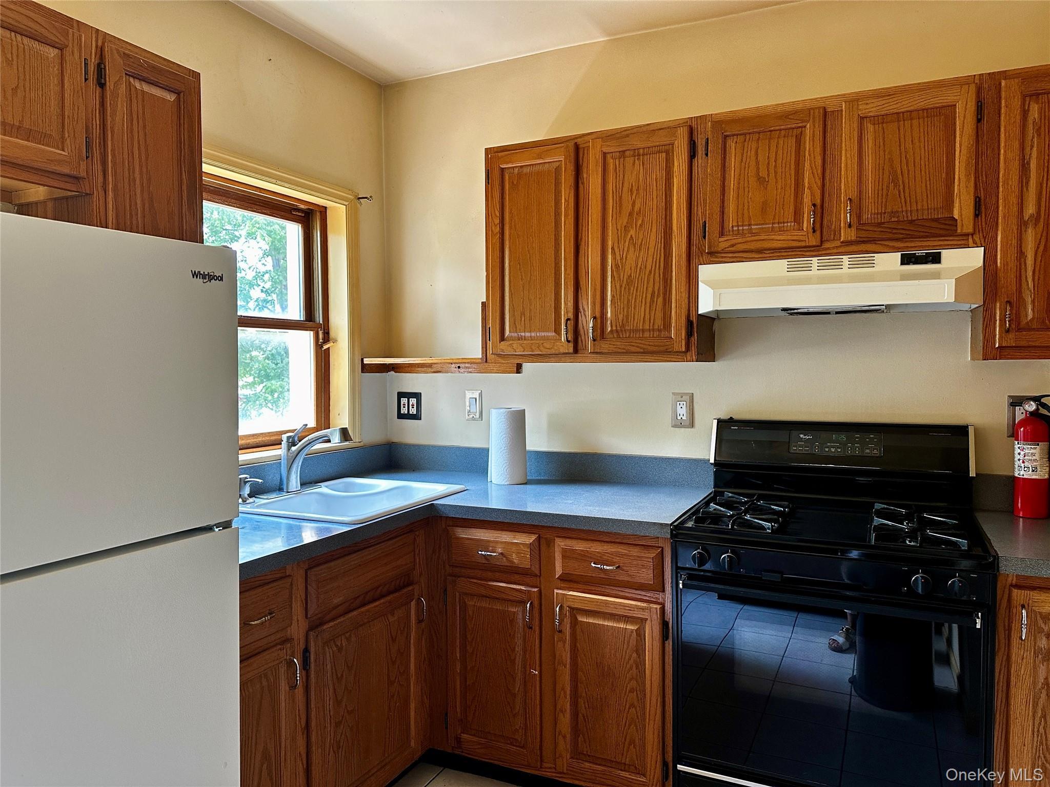 Single Family Columbus Street Orange County, NY 12553, MLS-1013440-8
