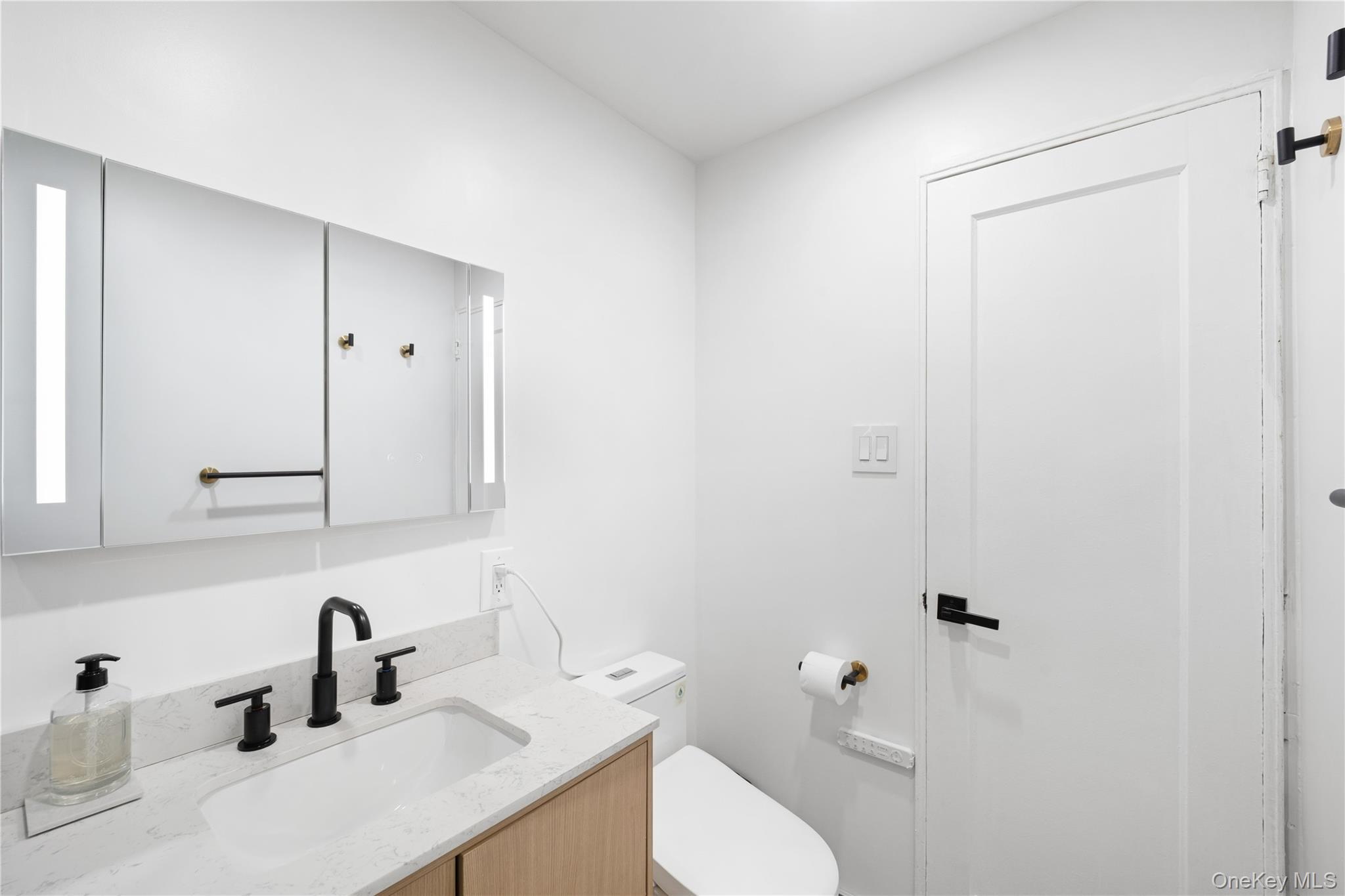 Coop 246th Crescent Queens, NY 11362, MLS-1013460-10
