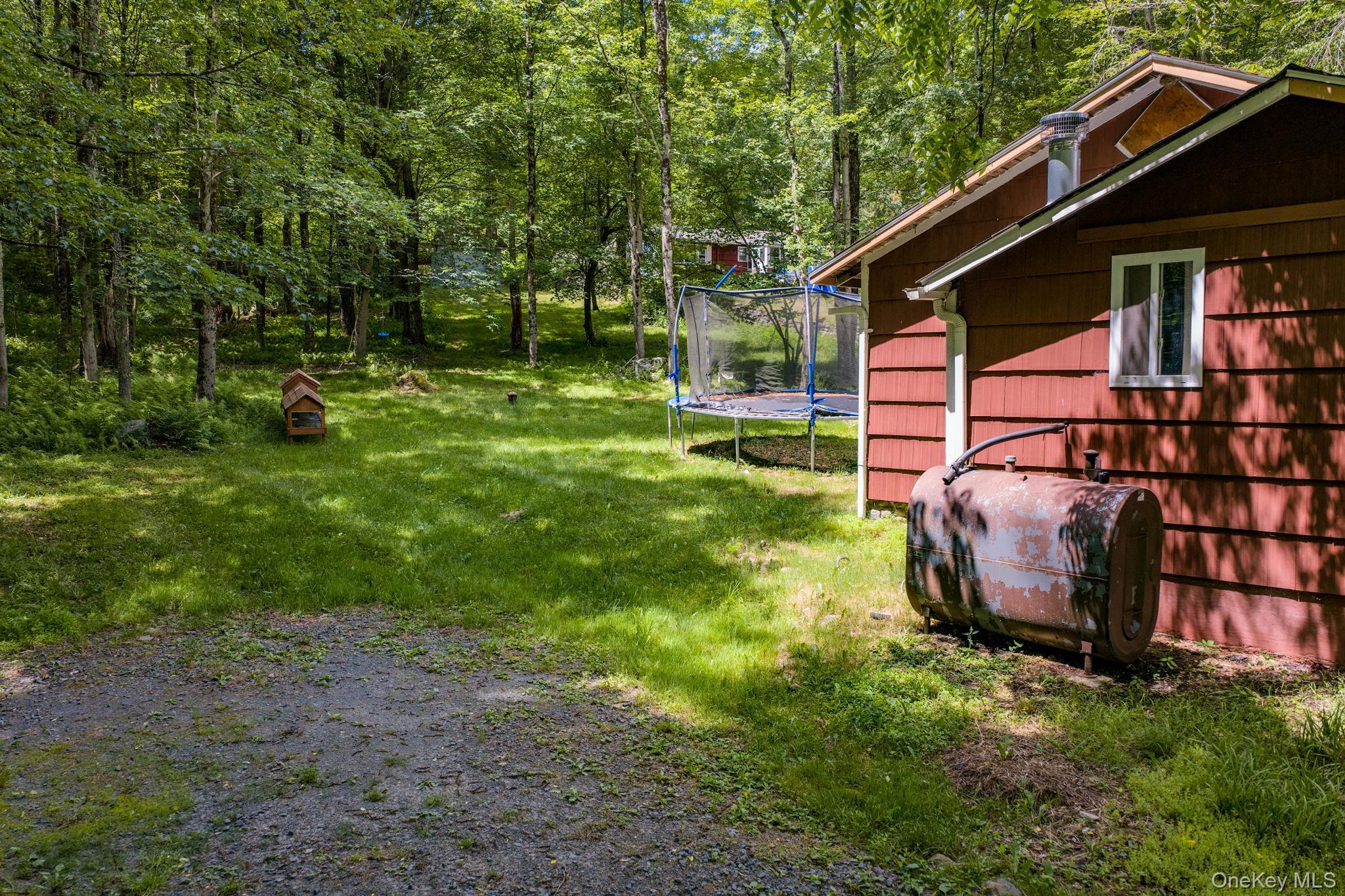 Single Family Brown Road Ulster County, NY 12428, MLS-1013471-19