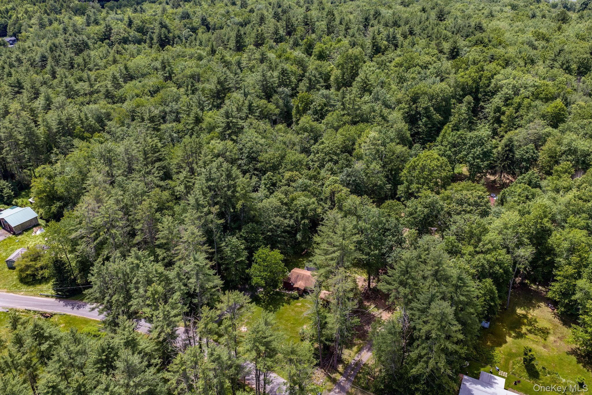 Single Family Brown Road Ulster County, NY 12428, MLS-1013471-23