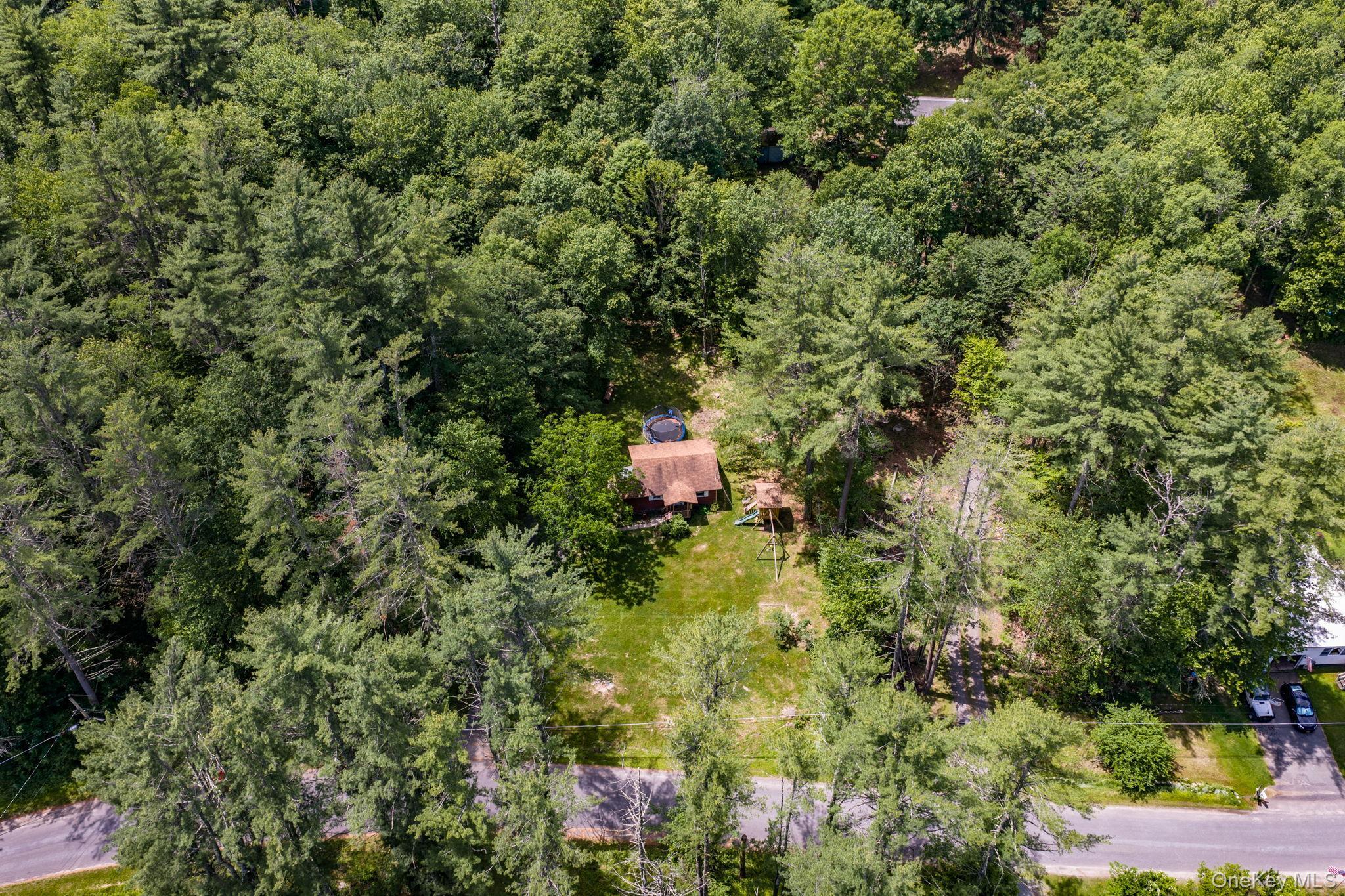 Single Family Brown Road Ulster County, NY 12428, MLS-1013471-24
