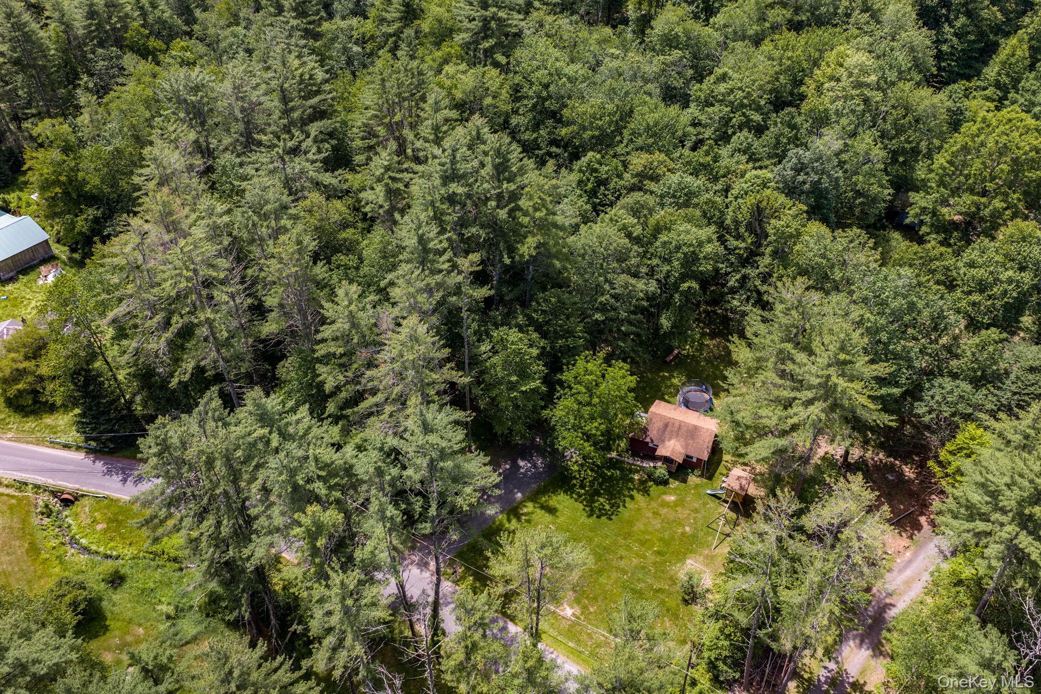 Single Family Brown Road Ulster County, NY 12428, MLS-1013471-25