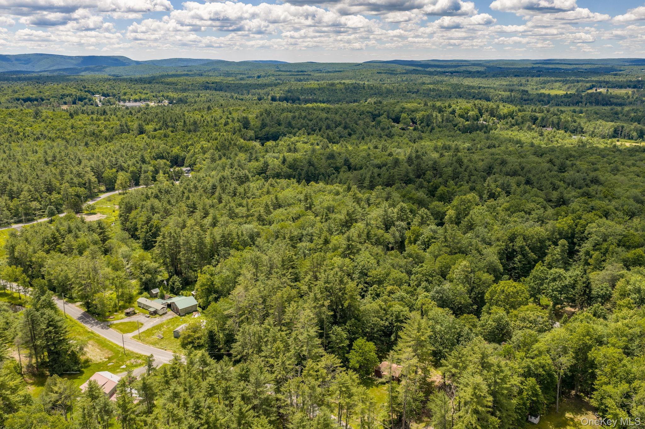 Single Family Brown Road Ulster County, NY 12428, MLS-1013471-26