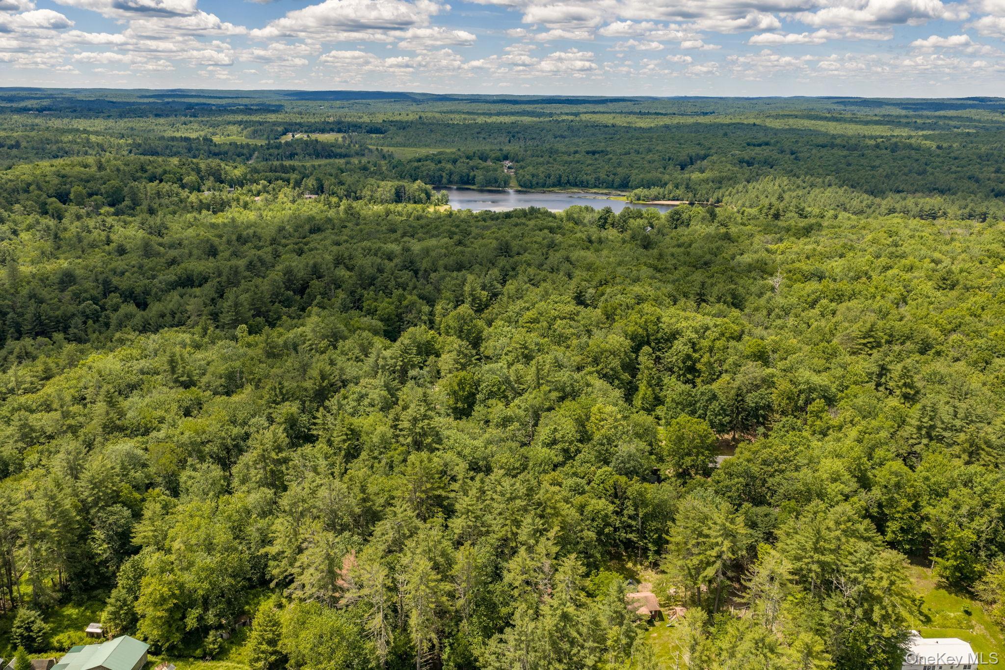 Single Family Brown Road Ulster County, NY 12428, MLS-1013471-28