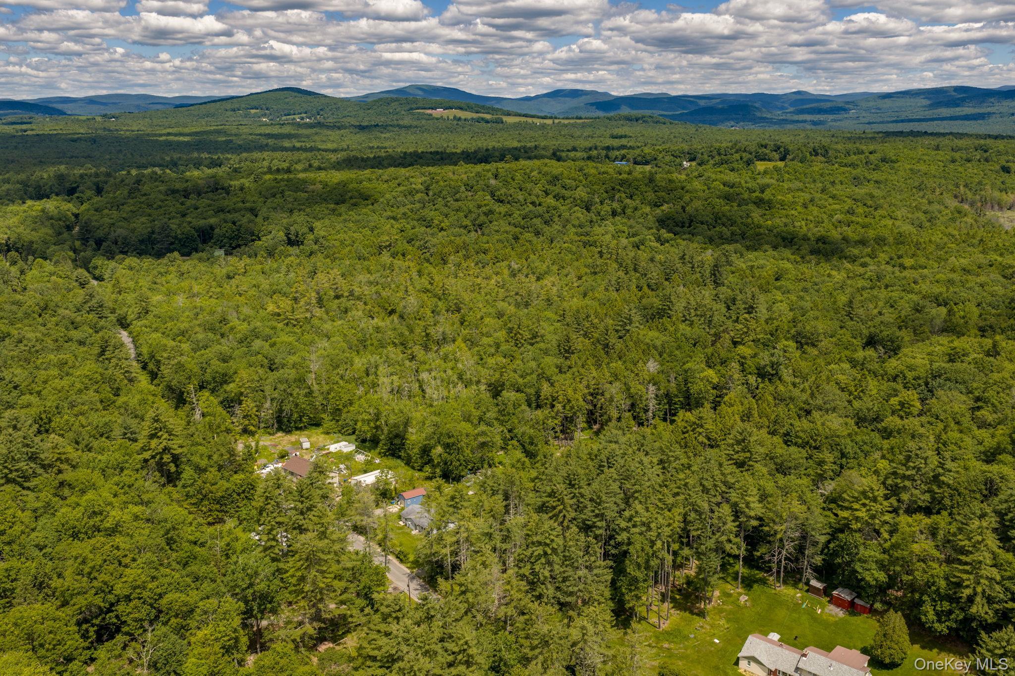 Single Family Brown Road Ulster County, NY 12428, MLS-1013471-29