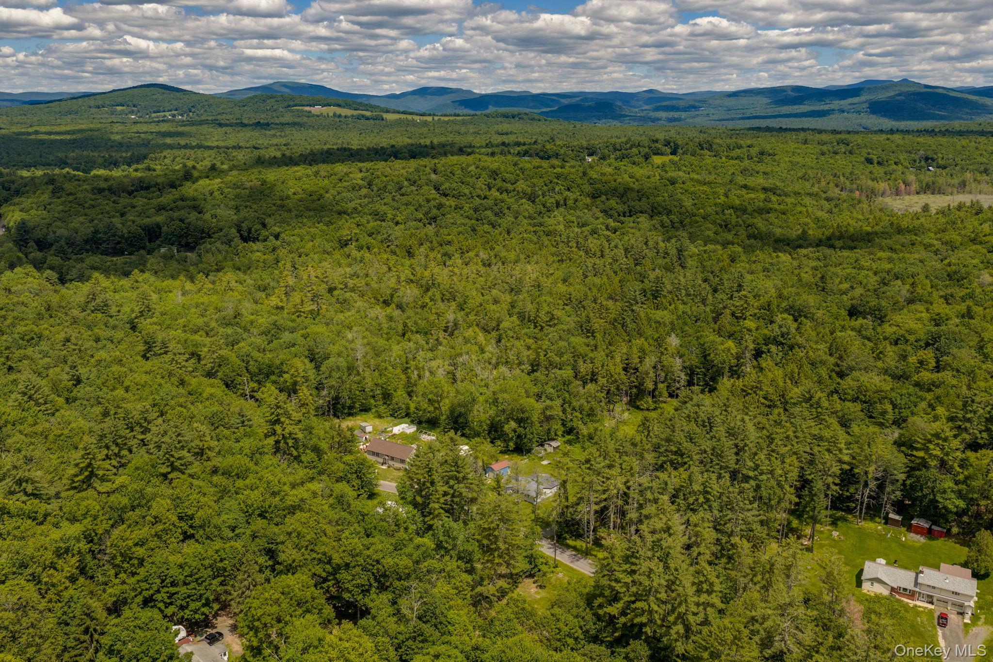 Single Family Brown Road Ulster County, NY 12428, MLS-1013471-30