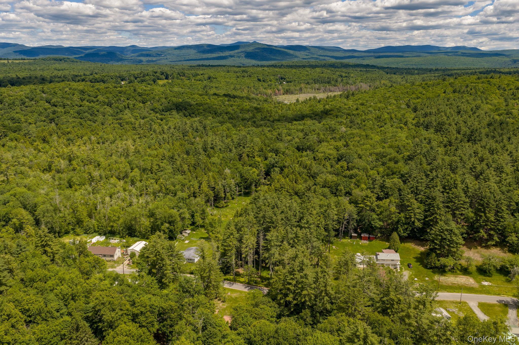 Single Family Brown Road Ulster County, NY 12428, MLS-1013471-31