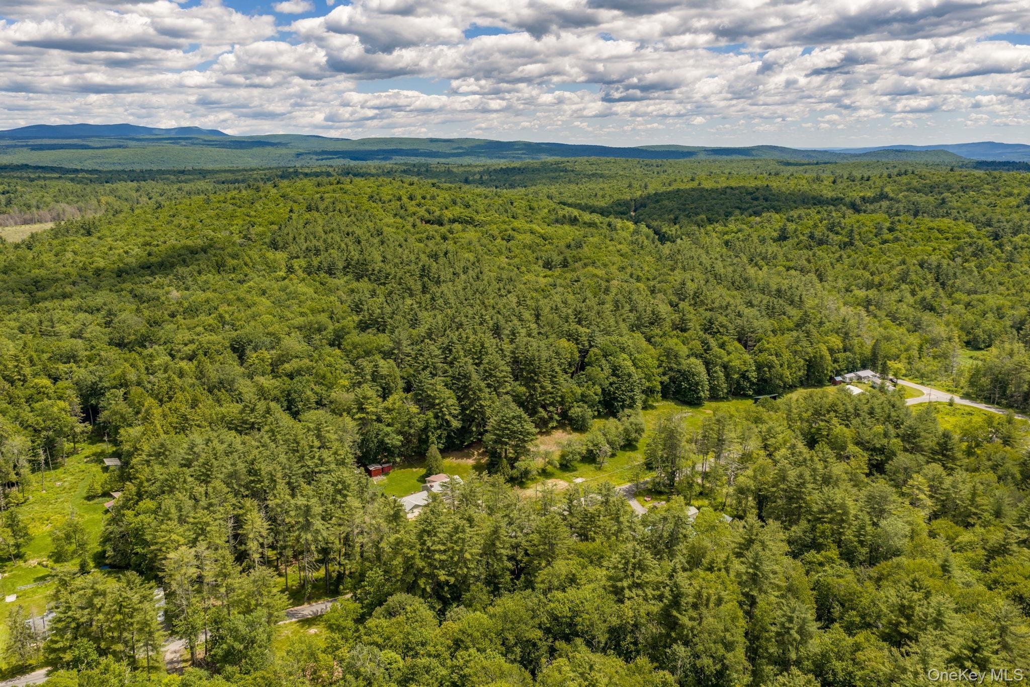 Single Family Brown Road Ulster County, NY 12428, MLS-1013471-32