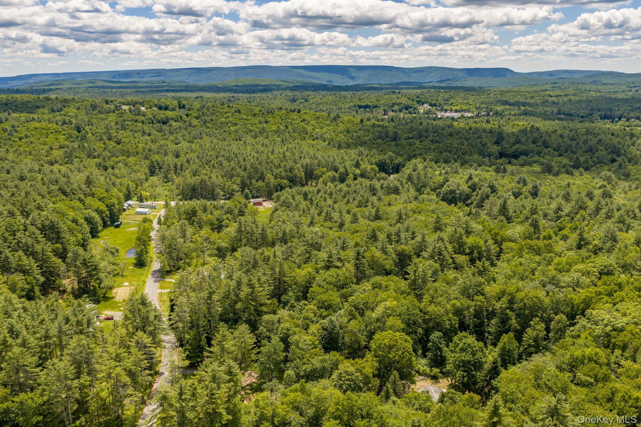 Single Family Brown Road  Ulster County, NY 12428, MLS-1013471-33