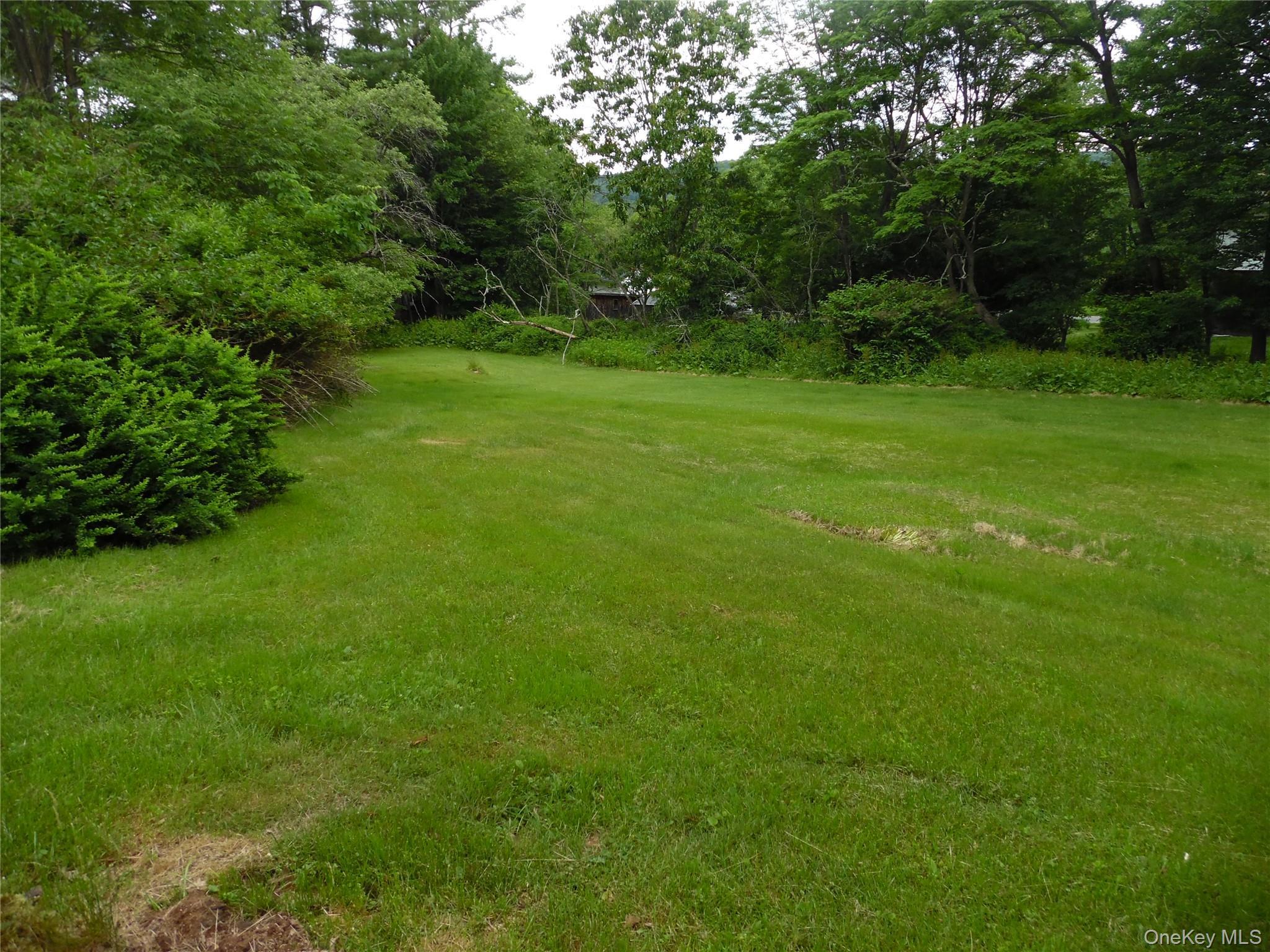 Single Family Cora Avenue  Sullivan County, NY 12754, MLS-1013472-6