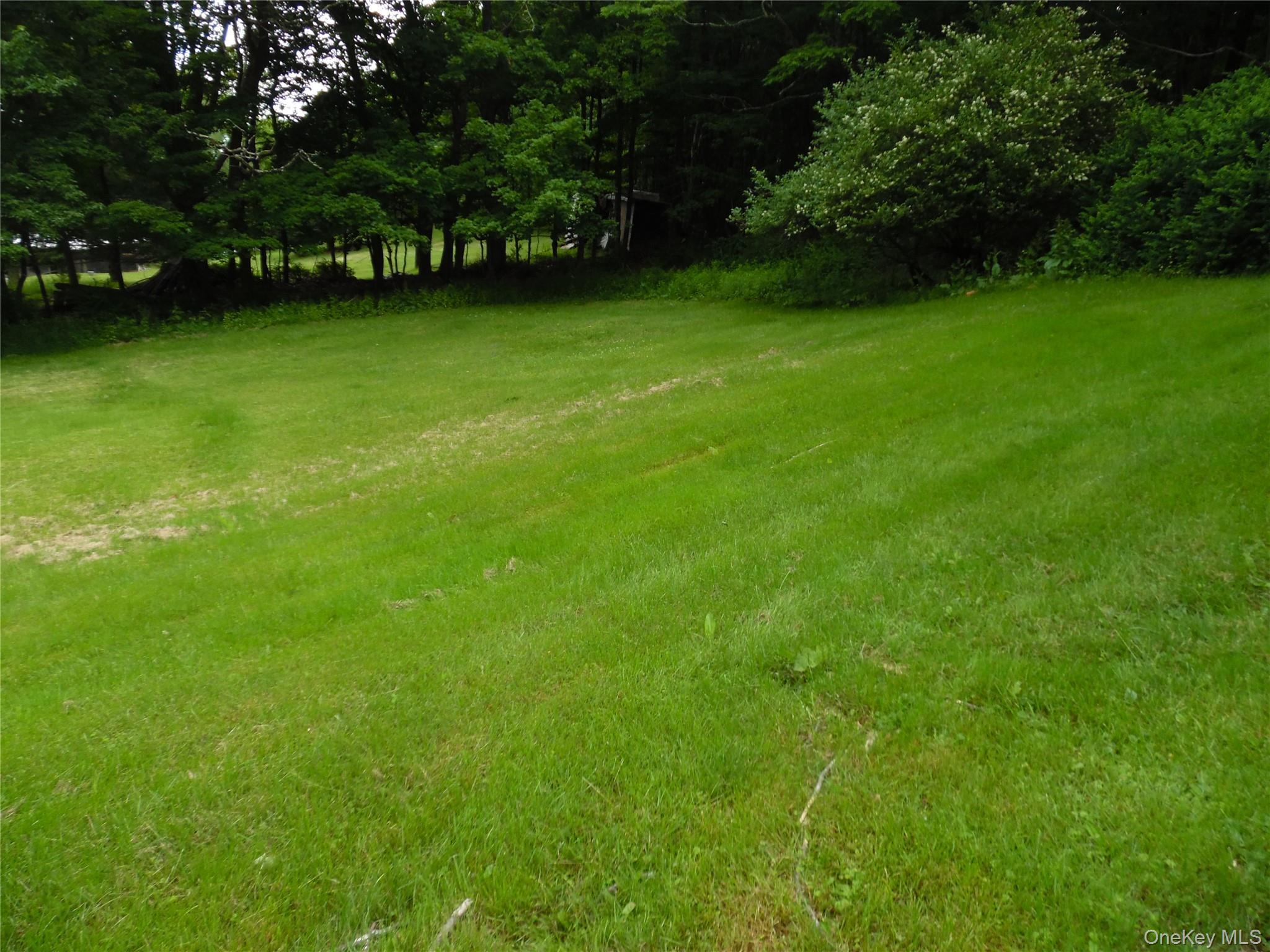 Single Family Cora Avenue  Sullivan County, NY 12754, MLS-1013472-7