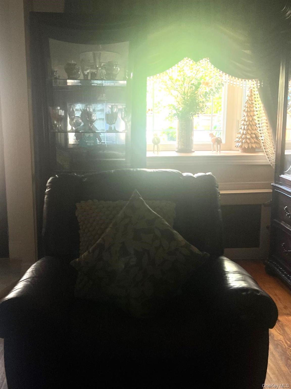 Apartment E 91st Street Brooklyn, NY 11236, MLS-1013529-3