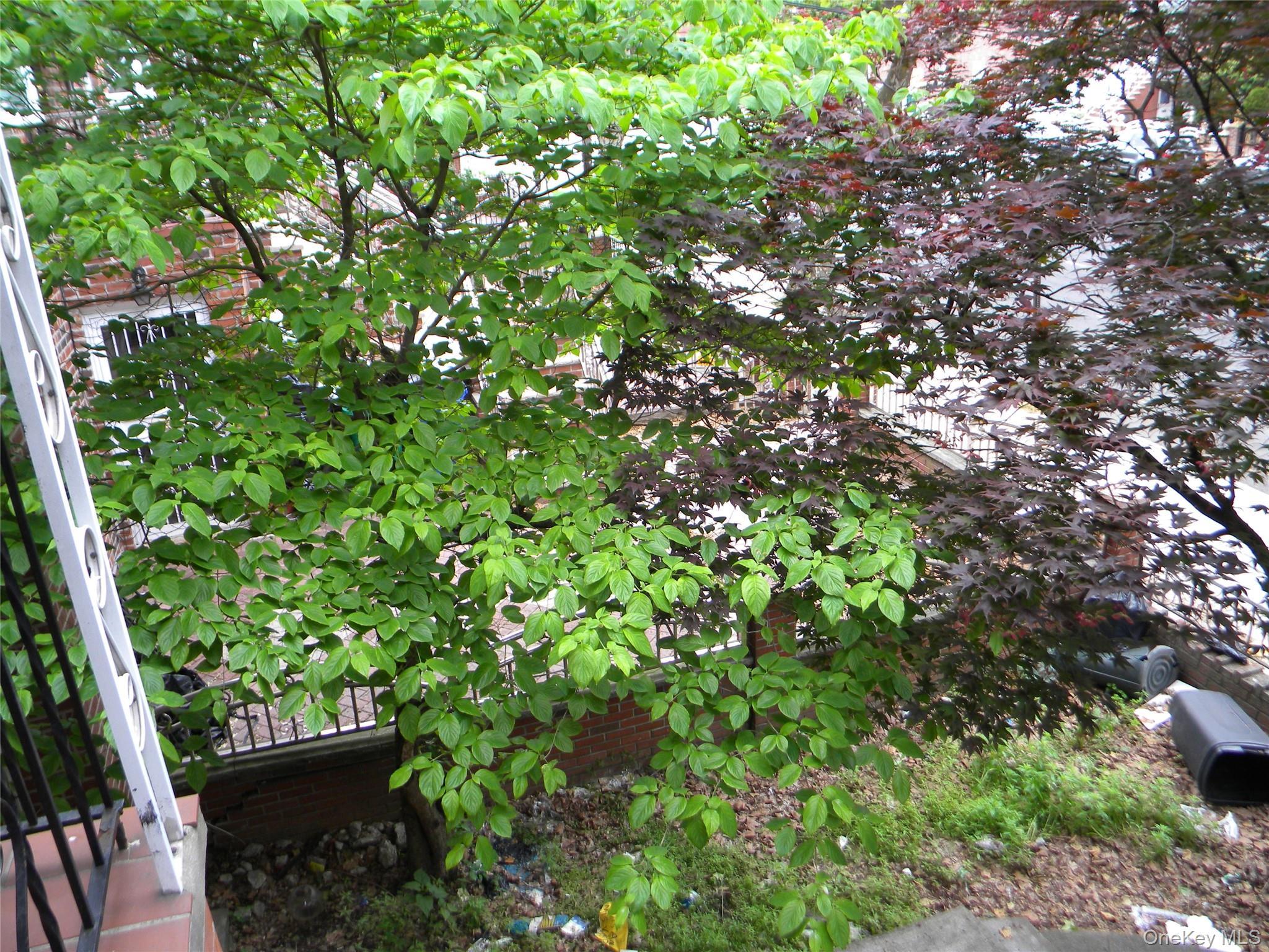 Single Family 80th Brooklyn, NY 11236, MLS-1013627-2
