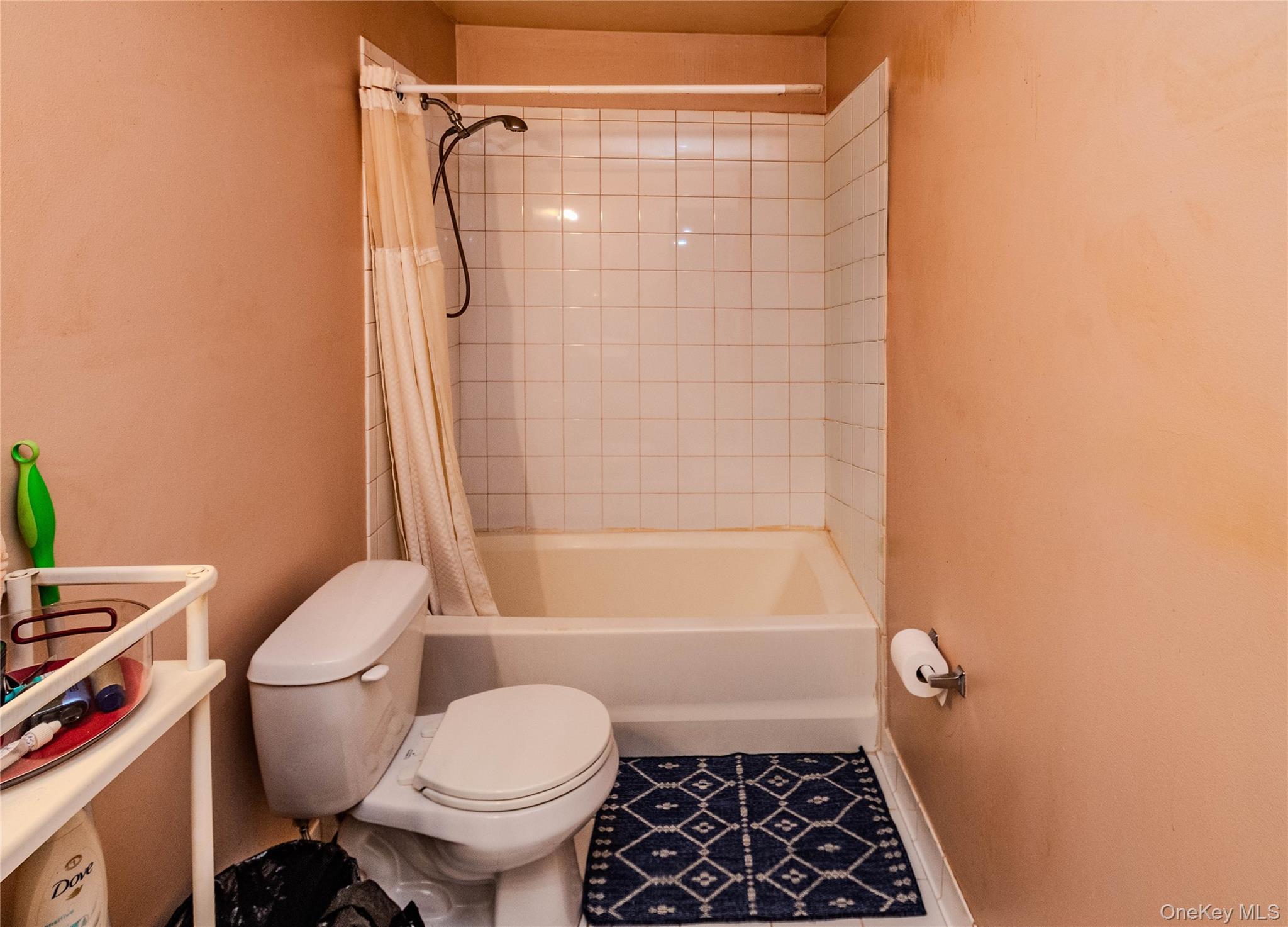 Single Family Danica  Sullivan County, NY 12754, MLS-1013652-19