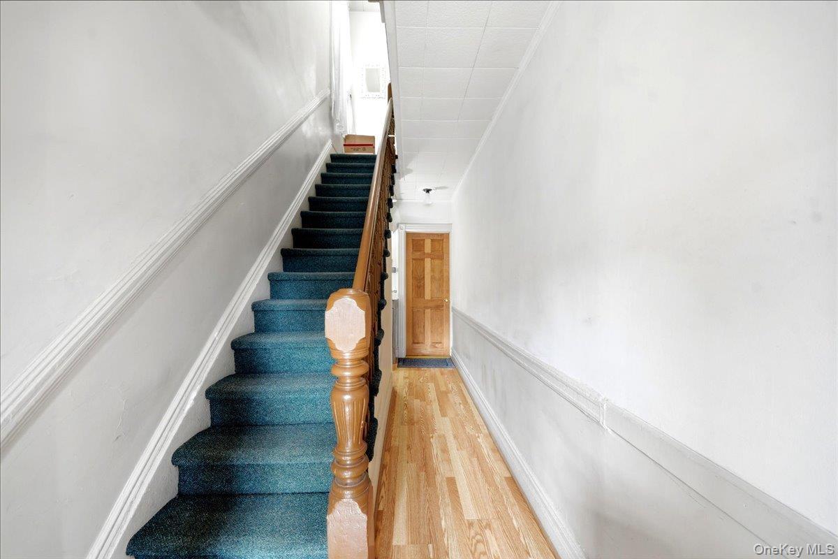 Single Family Muliner Avenue Bronx, NY 10462, MLS-1013662-2