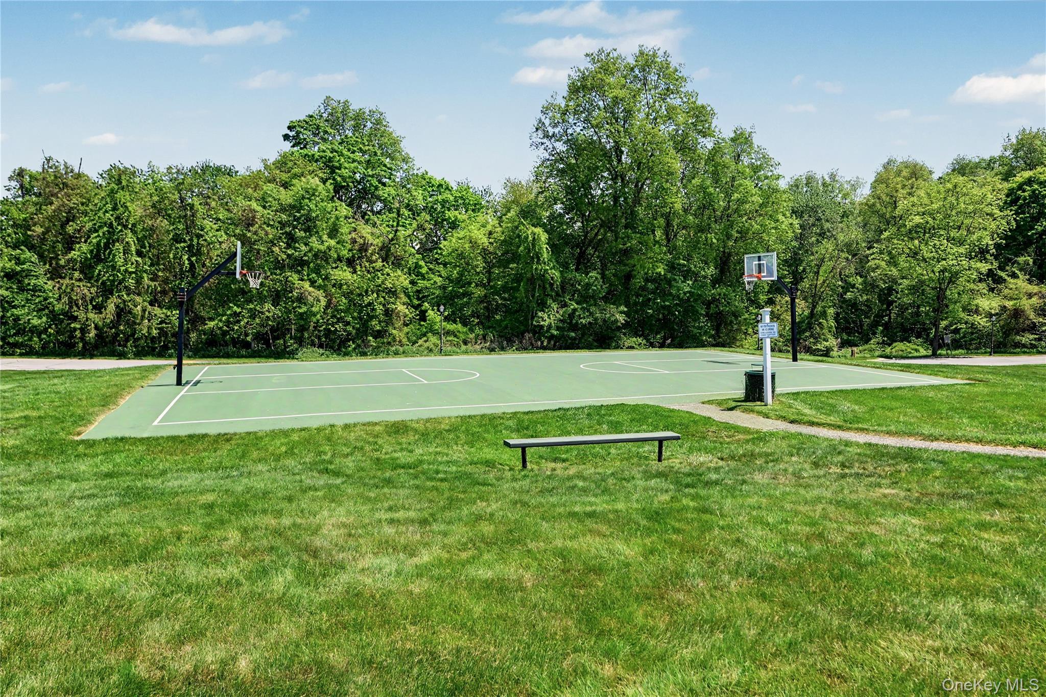 Single Family Greystone Lane Putnam County, NY 10509, MLS-1013670-21