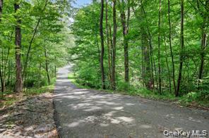 Single Family Peddler Hill Road Orange County, NY 10950, MLS-1013710-42