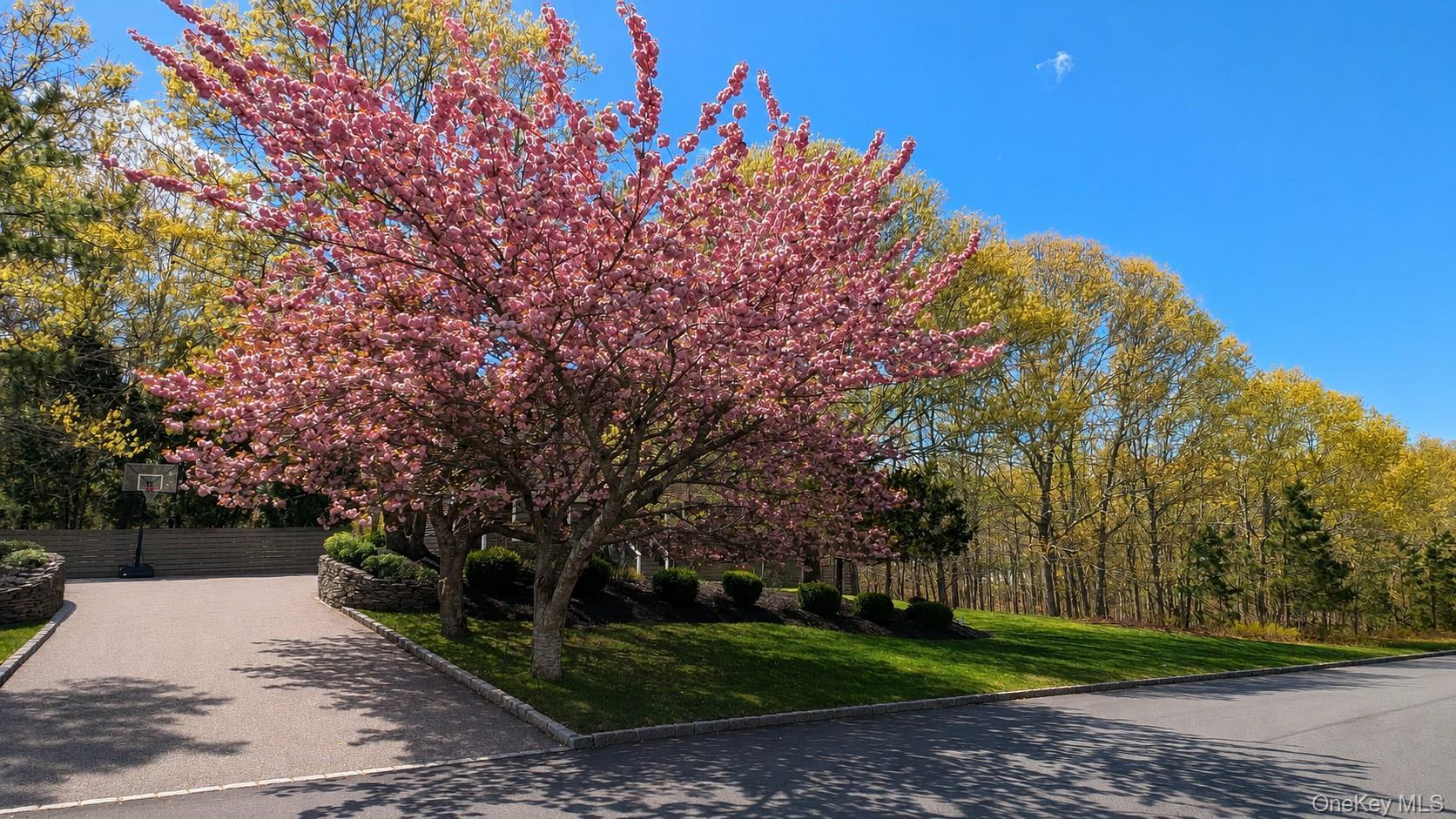 Single Family Squires Boulevard  Suffolk County, NY 11946, MLS-1013719-5