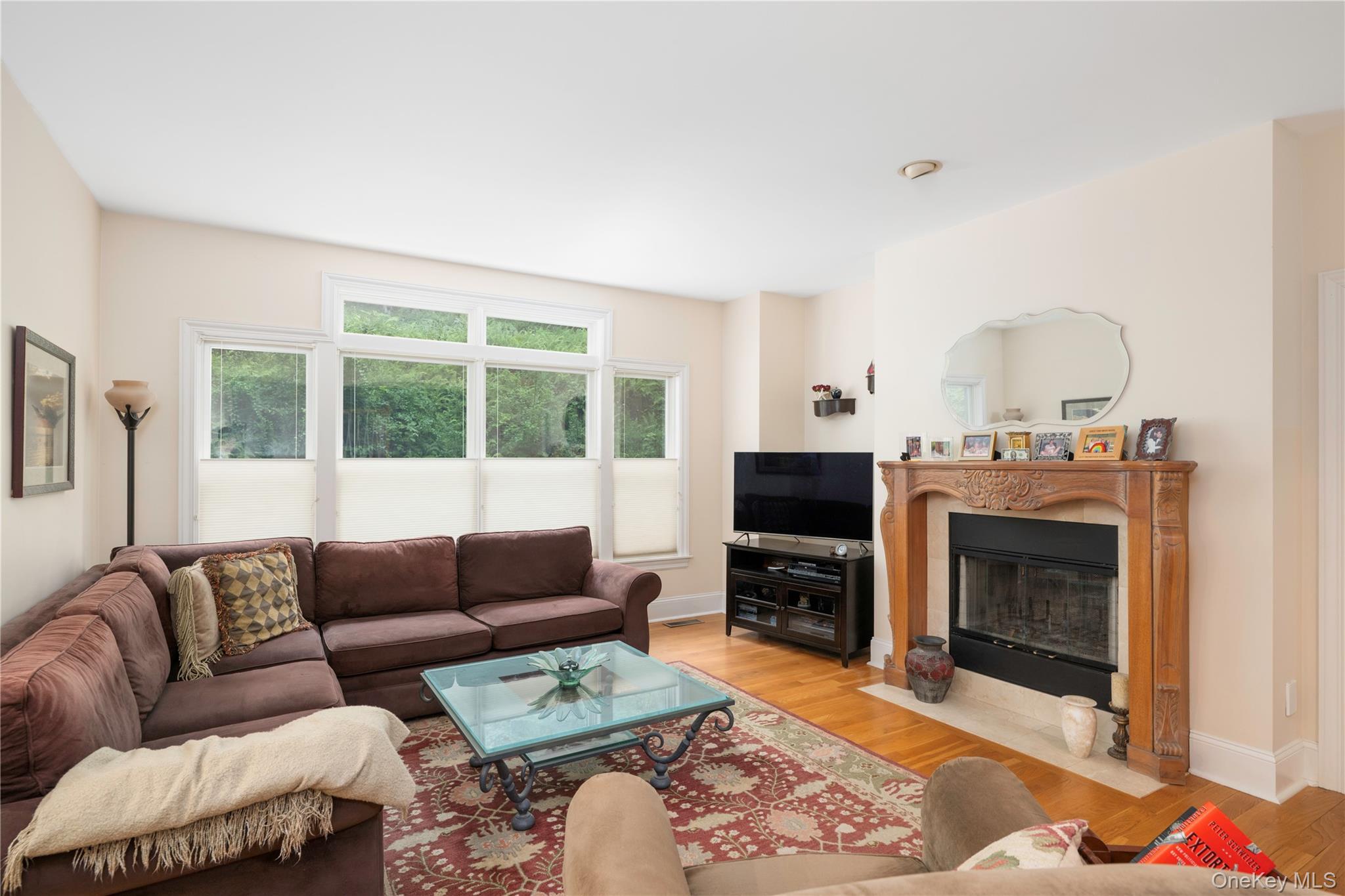 Single Family Watch Hill Road Westchester County, NY 10567, MLS-1013726-22