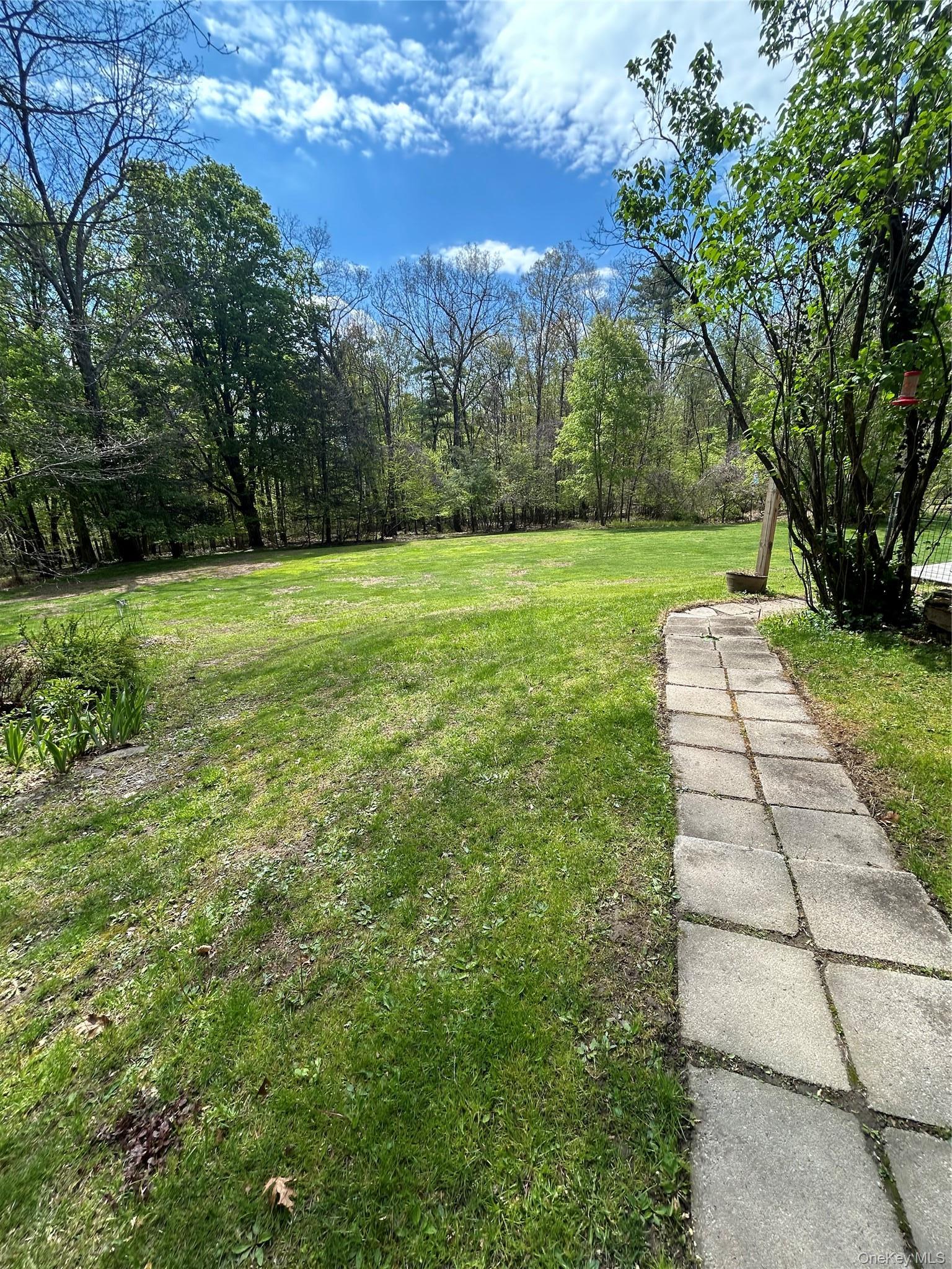 Single Family Pine Castle Drive Ulster County, NY 12446, MLS-1013760-11