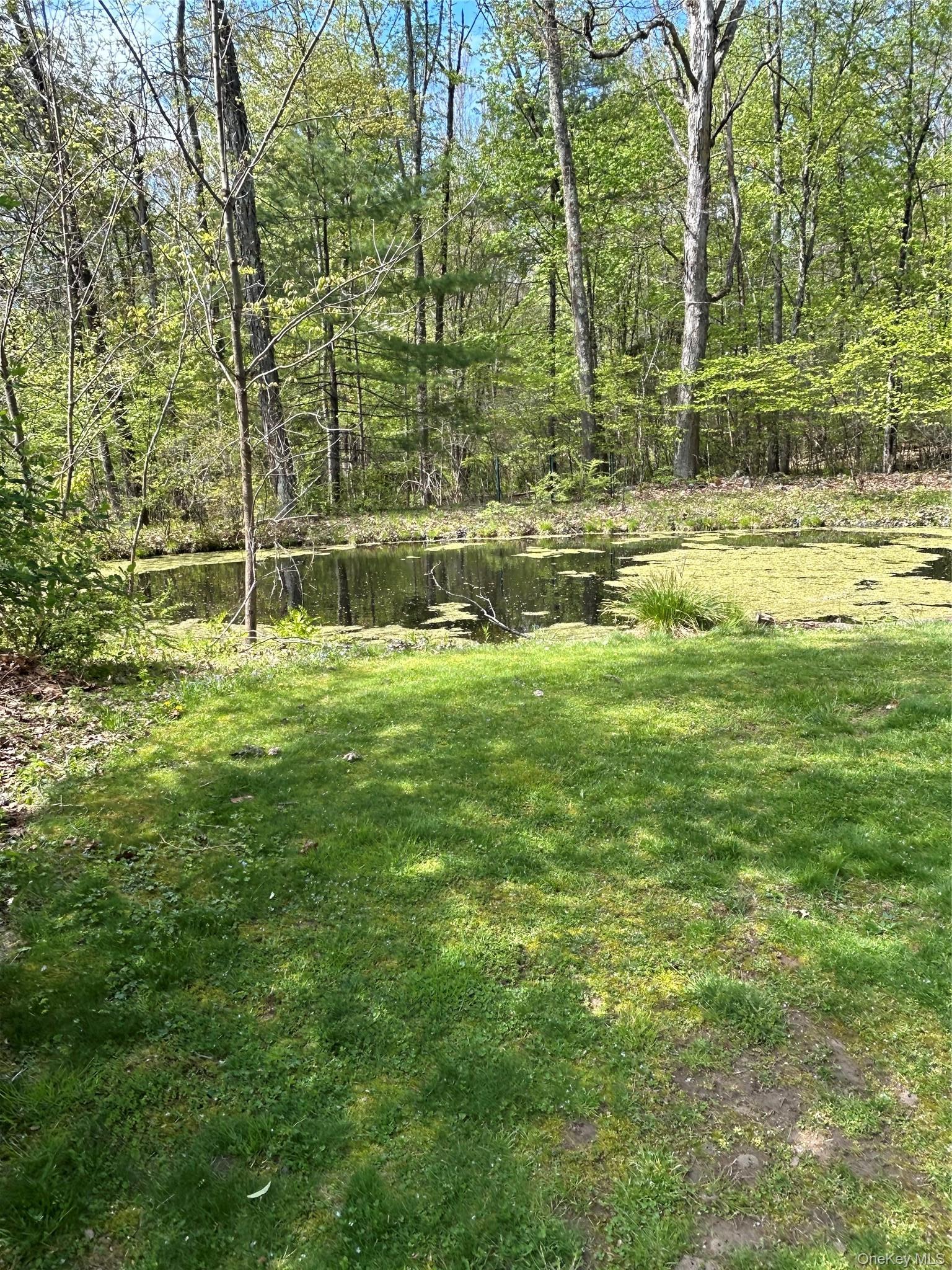 Single Family Pine Castle Drive Ulster County, NY 12446, MLS-1013760-12