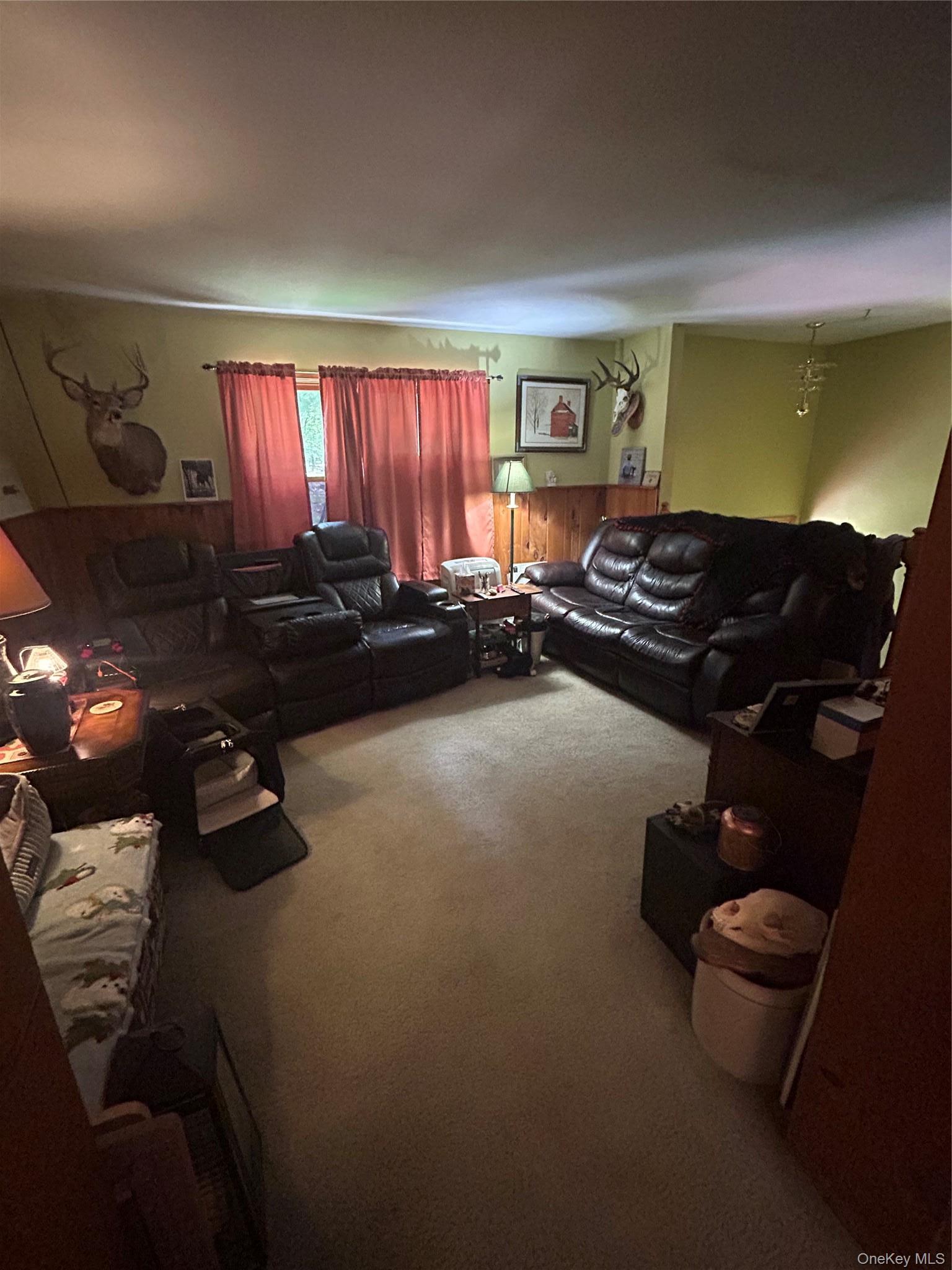 Single Family Pine Castle Drive Ulster County, NY 12446, MLS-1013760-3