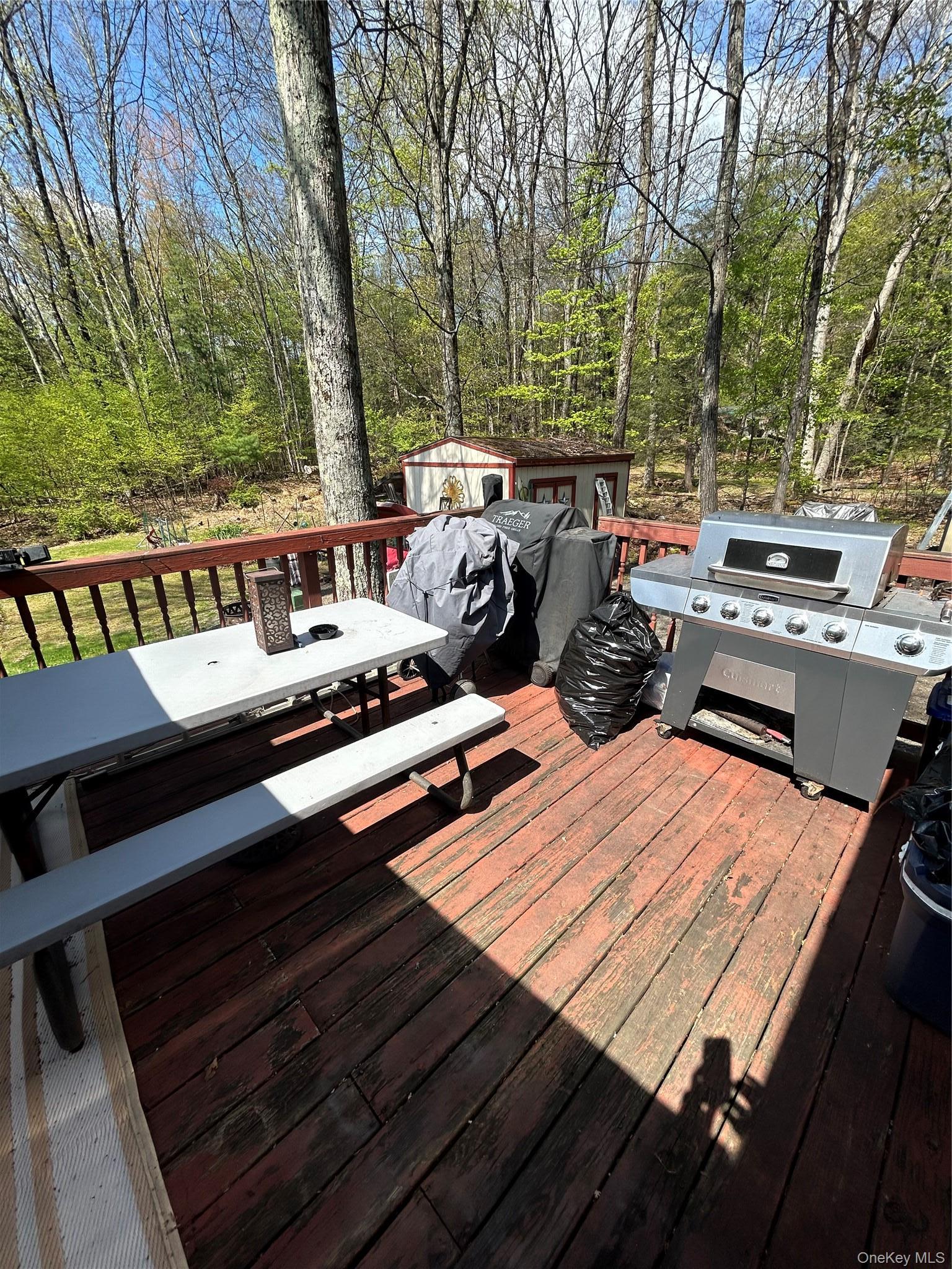 Single Family Pine Castle Drive Ulster County, NY 12446, MLS-1013760-7