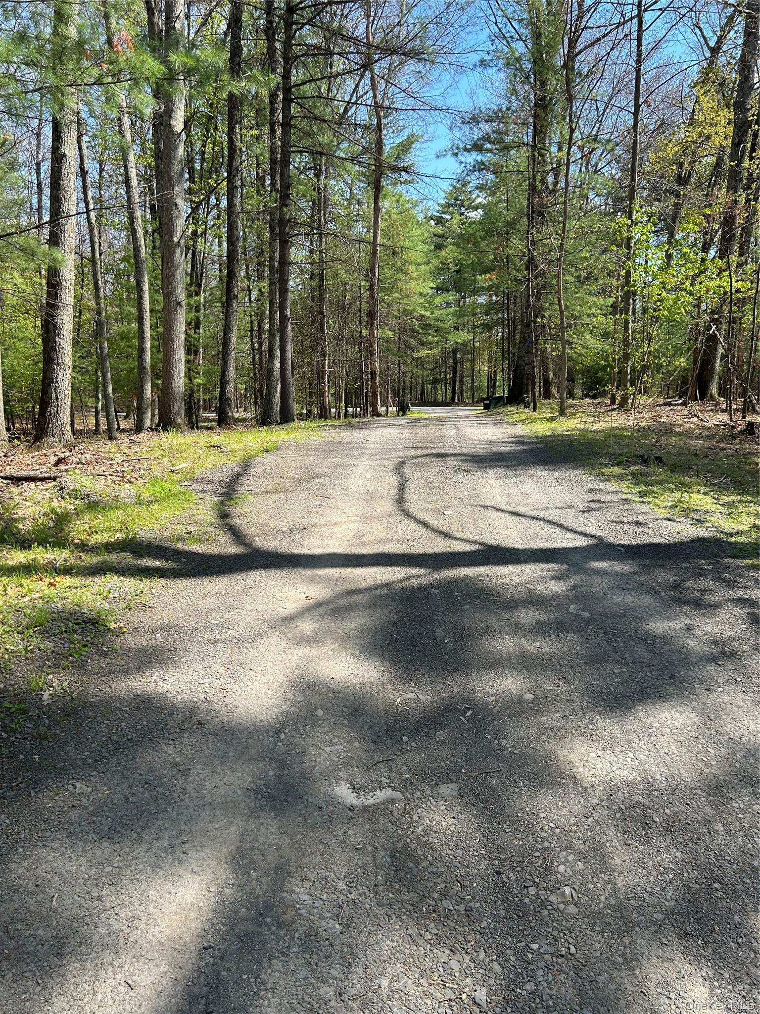 Single Family Pine Castle Drive Ulster County, NY 12446, MLS-1013760-9