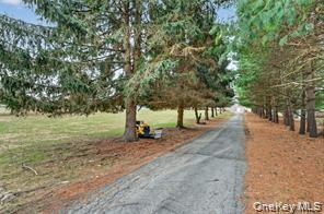 Single Family Prospect Road  Orange County, NY 10950, MLS-1013771-10