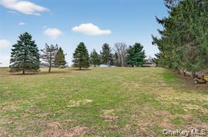 Single Family Prospect Road  Orange County, NY 10950, MLS-1013771-11