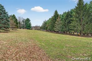 Single Family Prospect Road  Orange County, NY 10950, MLS-1013771-12