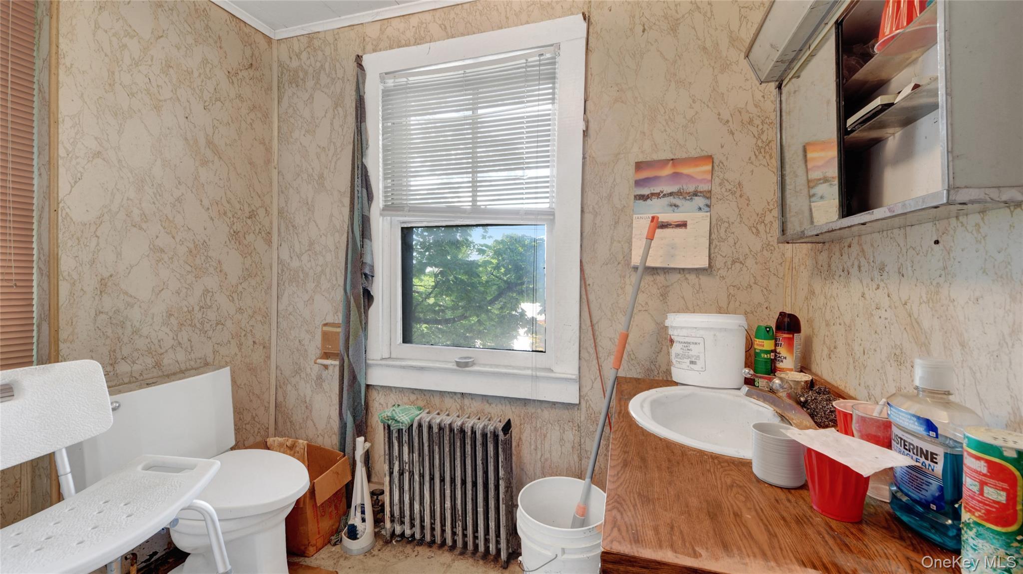 Single Family Croton Avenue Westchester County, NY 10562, MLS-1013780-8
