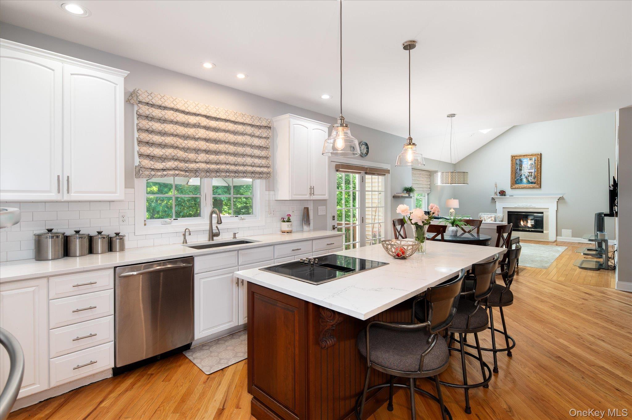 Single Family Theal Court Westchester County, NY 10589, MLS-1013819-10