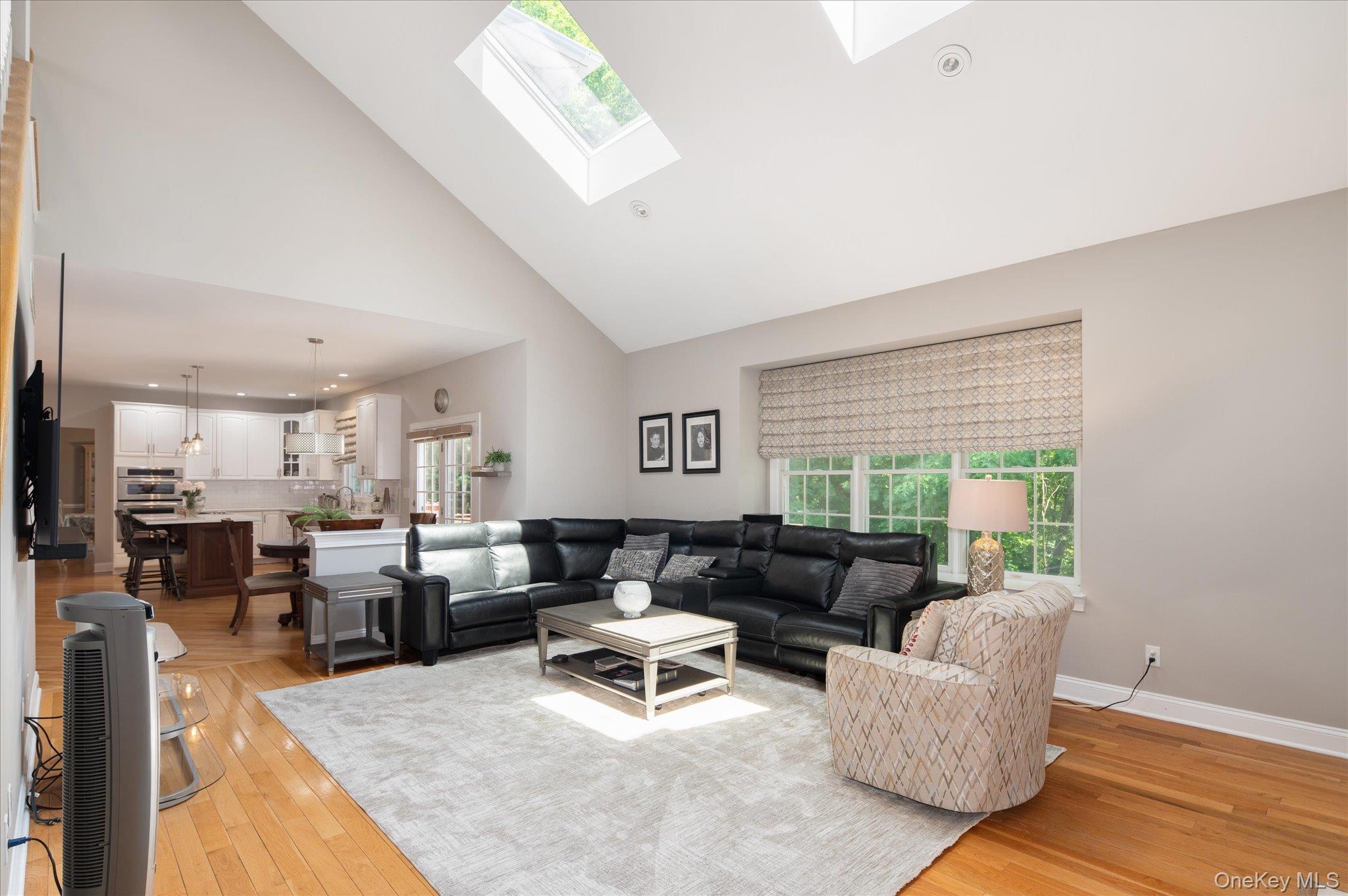 Single Family Theal Court Westchester County, NY 10589, MLS-1013819-16