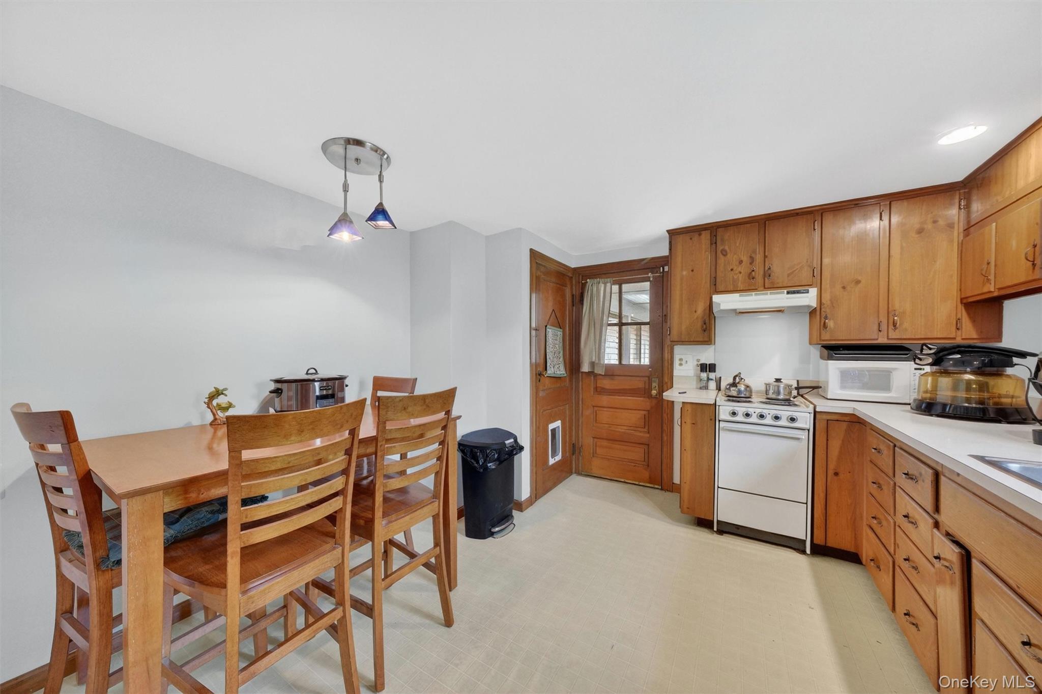 Single Family Merilina Avenue Ulster County, NY 12401, MLS-1013834-7