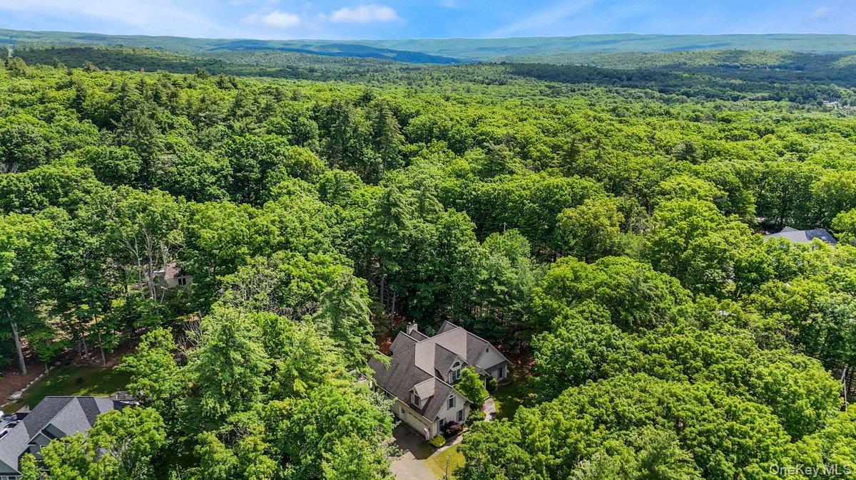 Single Family Azalea  Out Of Area, NY 18337, MLS-1013849-37