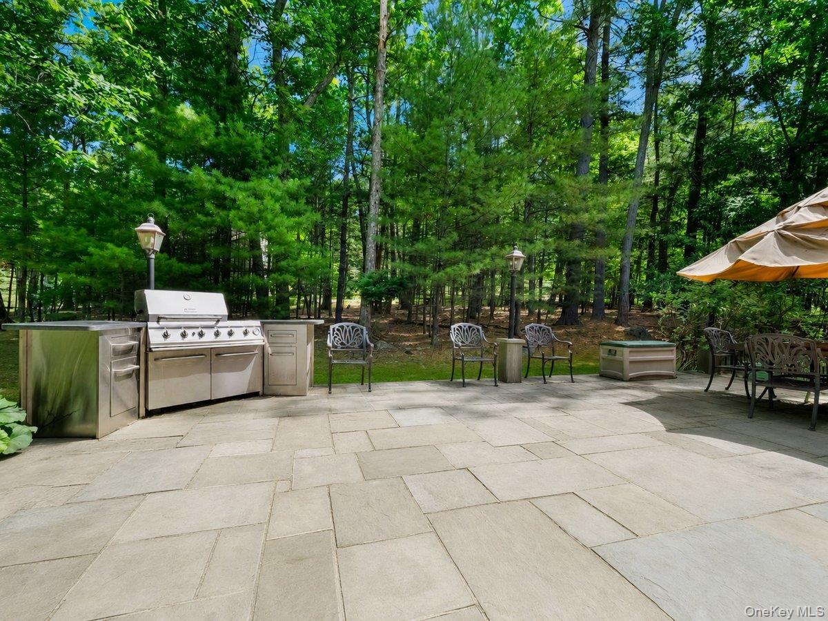 Single Family Azalea  Out Of Area, NY 18337, MLS-1013849-41