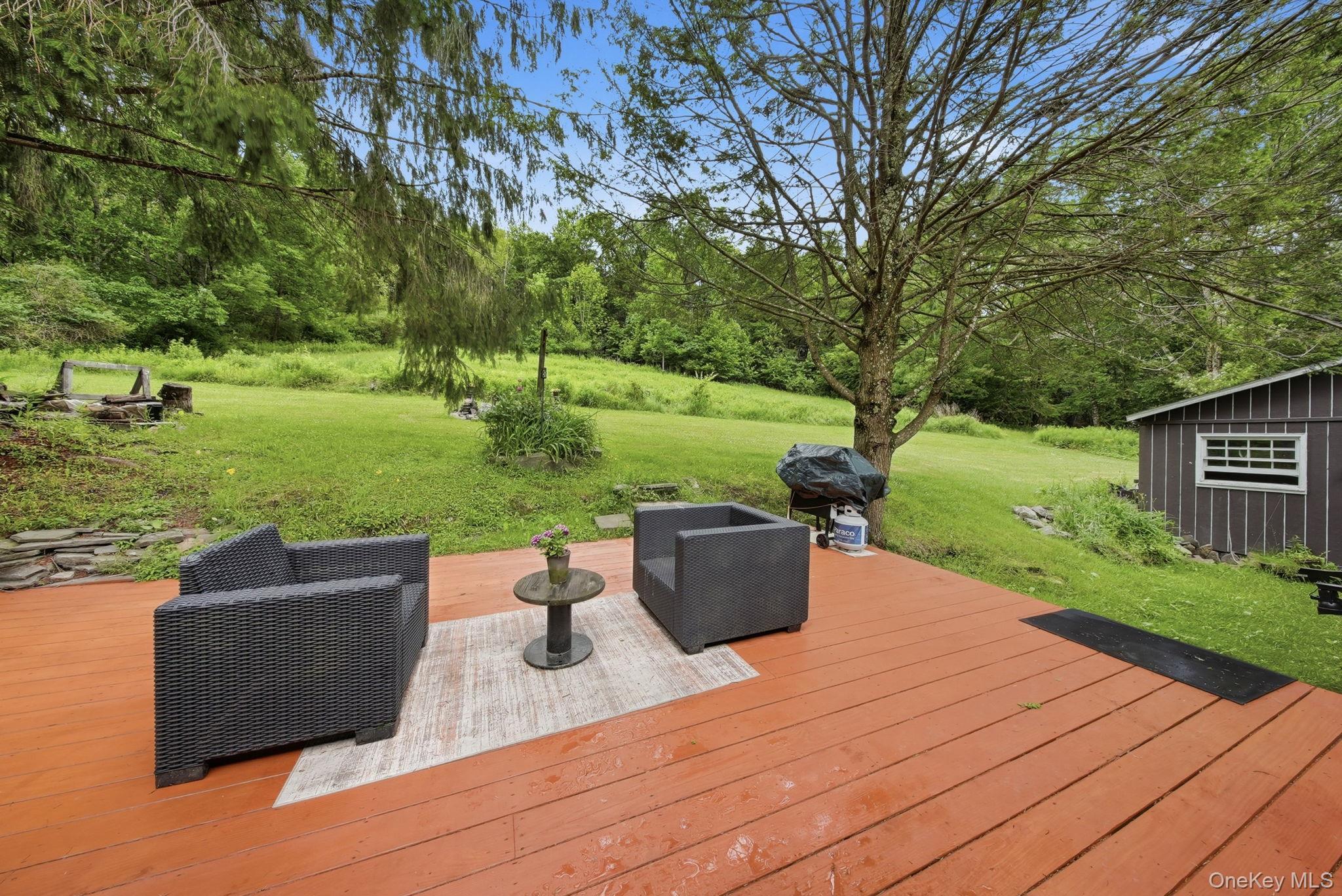 Single Family Hessinger And Lare Road Sullivan County, NY 12748, MLS-1013859-28
