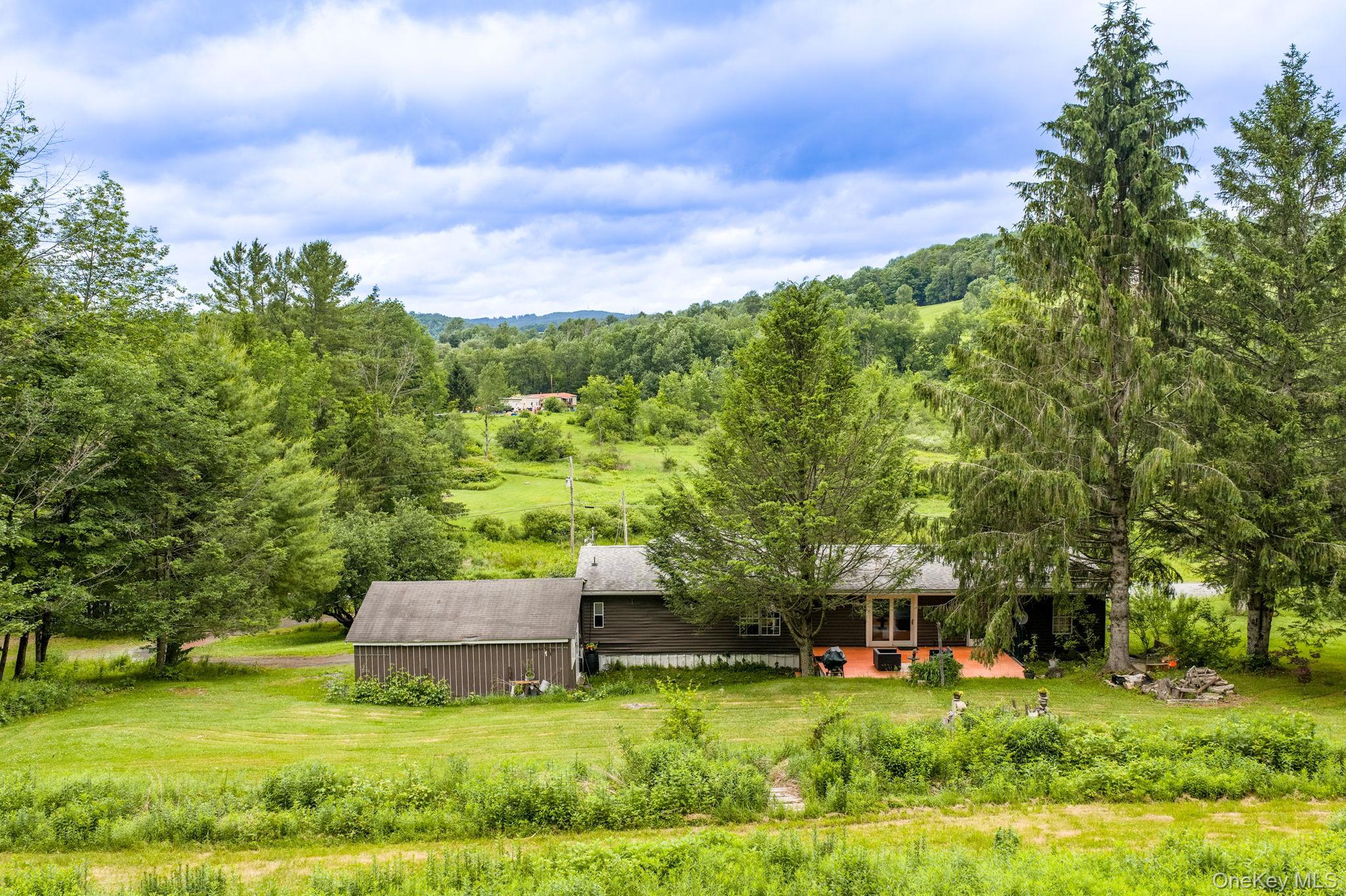 Single Family Hessinger And Lare Road Sullivan County, NY 12748, MLS-1013859-33