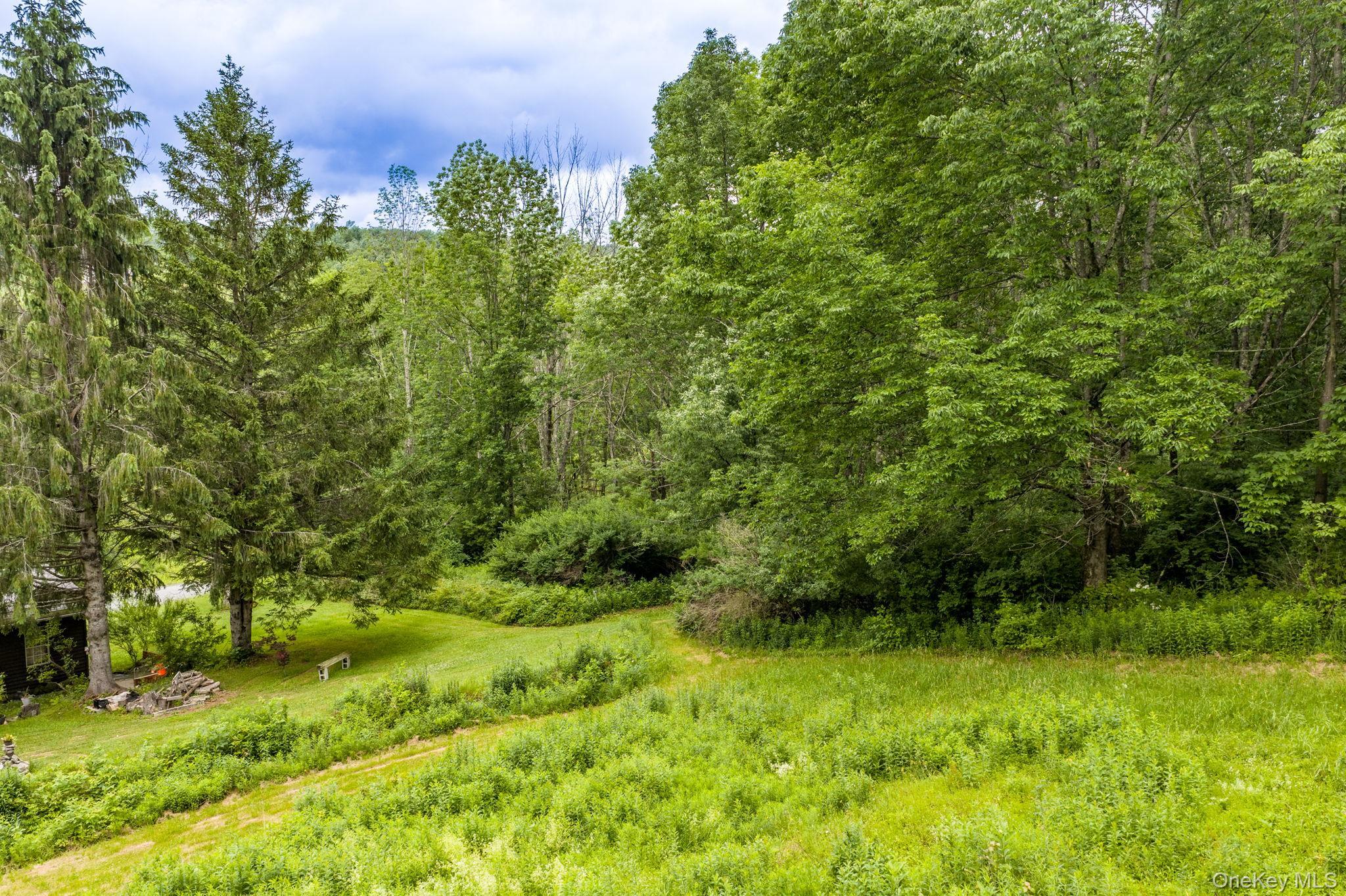 Single Family Hessinger And Lare Road Sullivan County, NY 12748, MLS-1013859-34