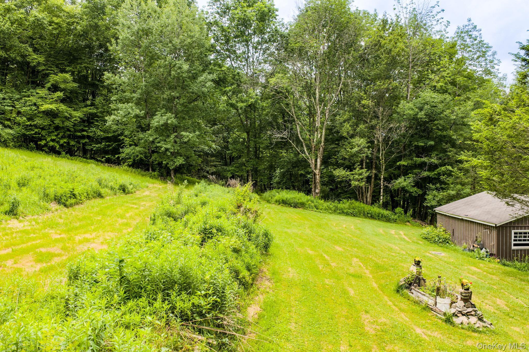 Single Family Hessinger And Lare Road Sullivan County, NY 12748, MLS-1013859-38